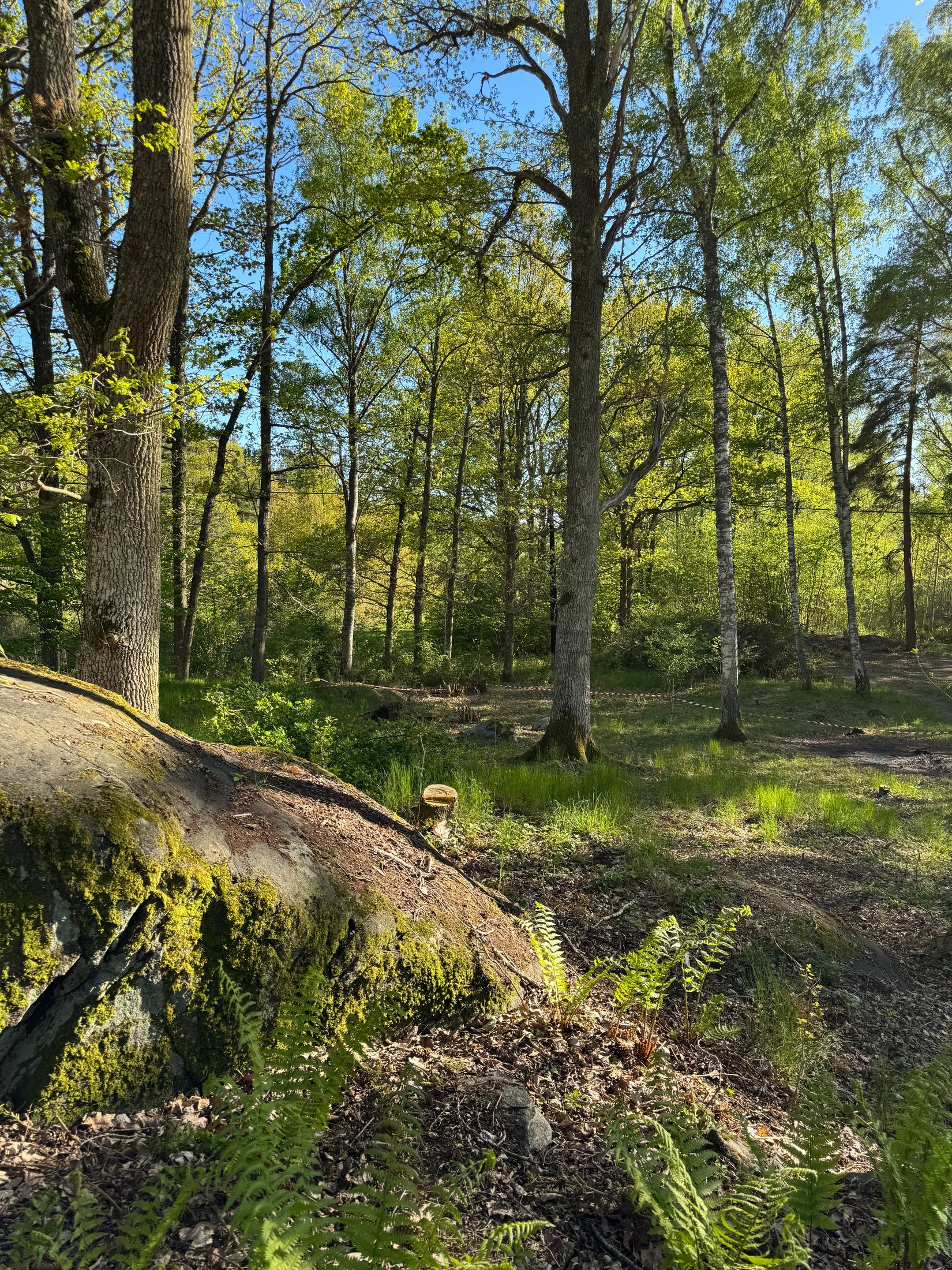 Tomt, Ekdalen 5, Ådö, Upplands-Bro