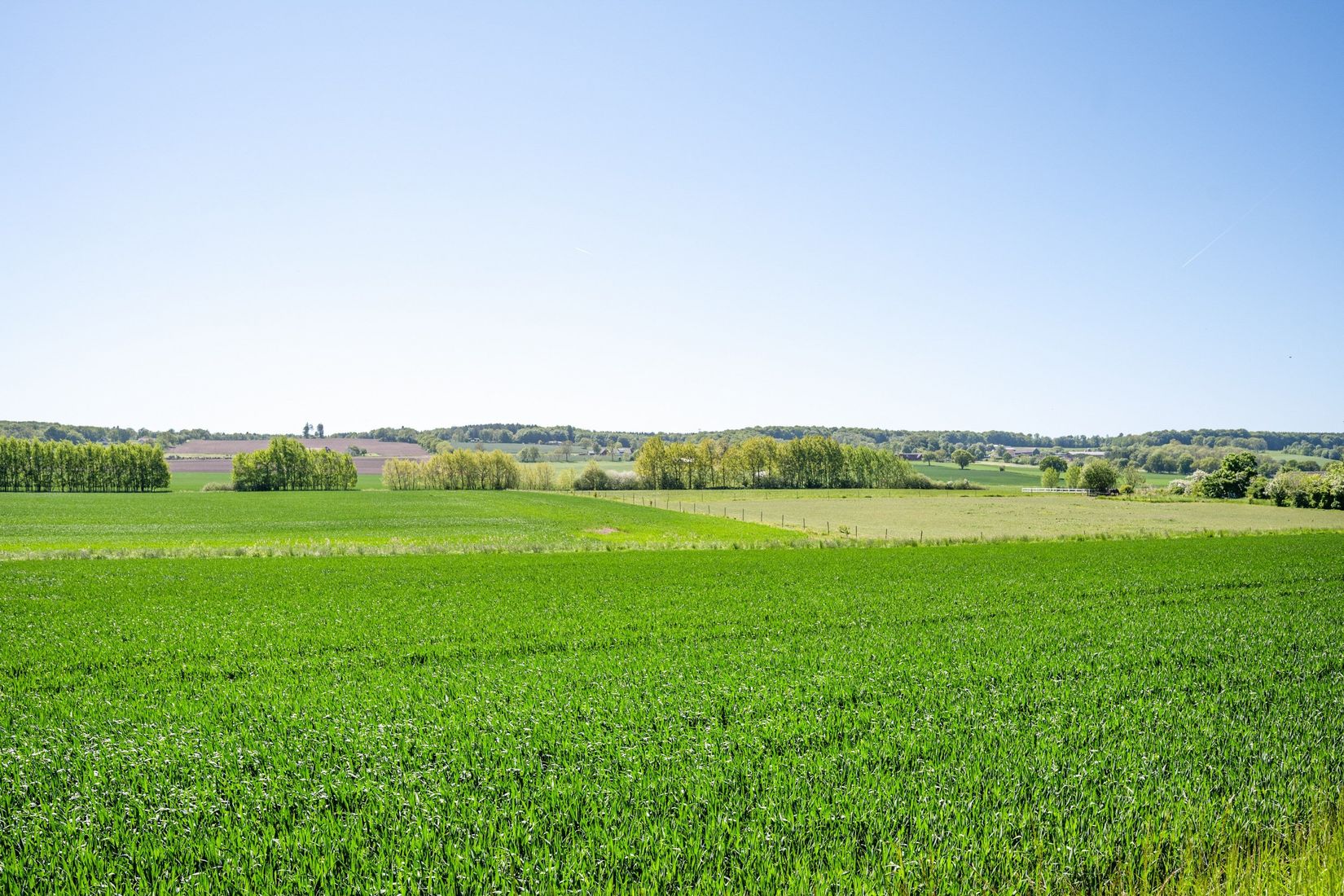 Villa, Rörspjällsvägen 116, Åstorp