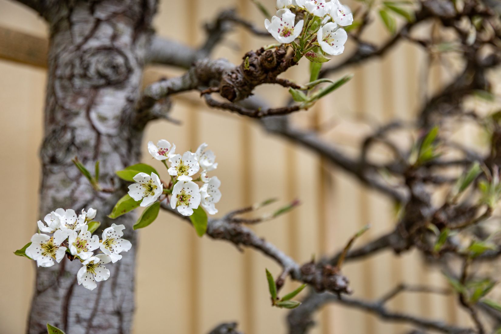 Villa, Skyttevägen 10, Källstorp, Trollhättan