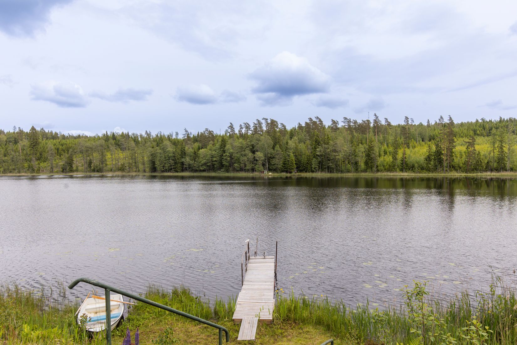 Gård/Skog, Botjärnen 1, Storfors