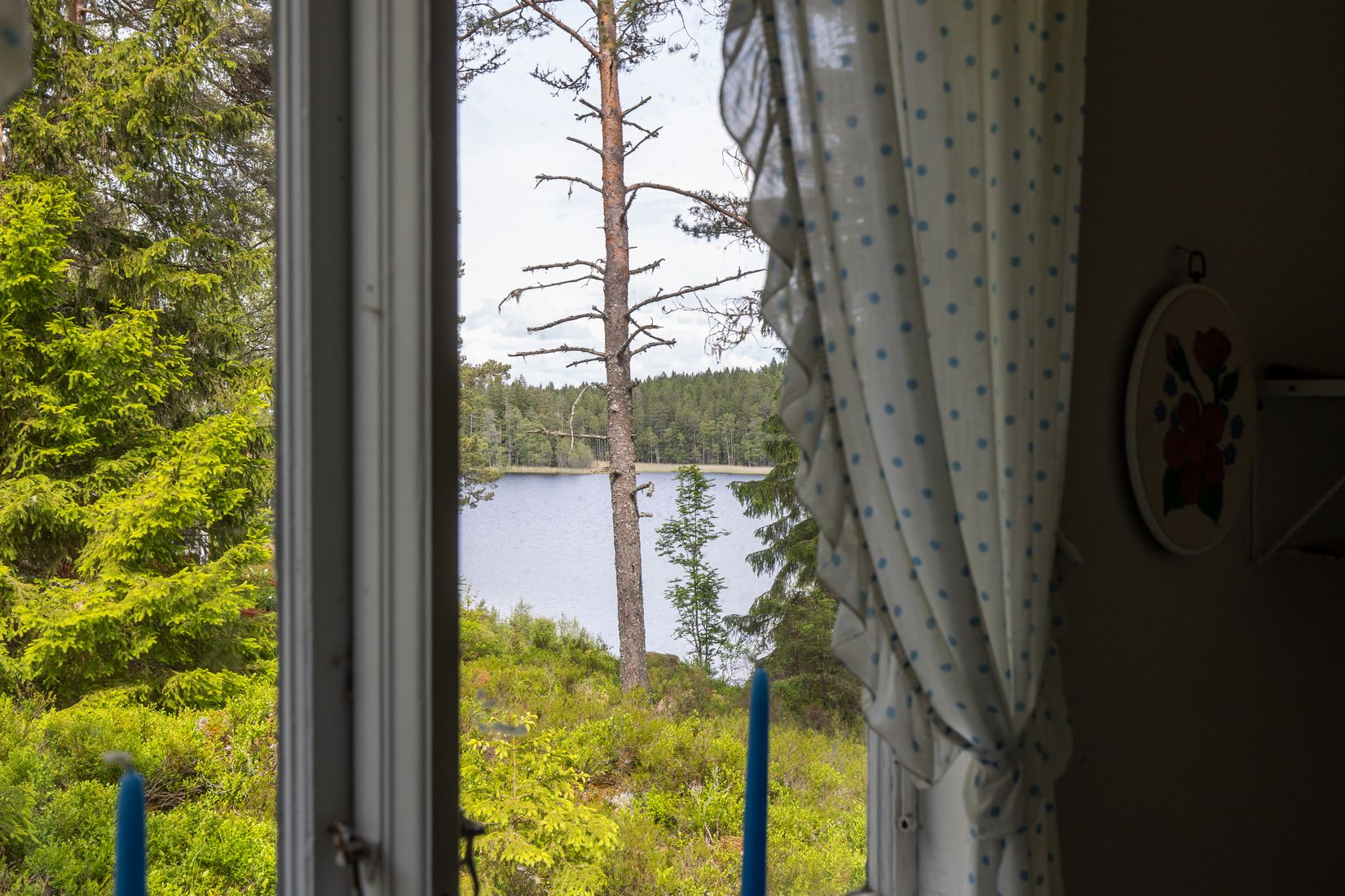 Gård/Skog, Botjärnen 1, Storfors