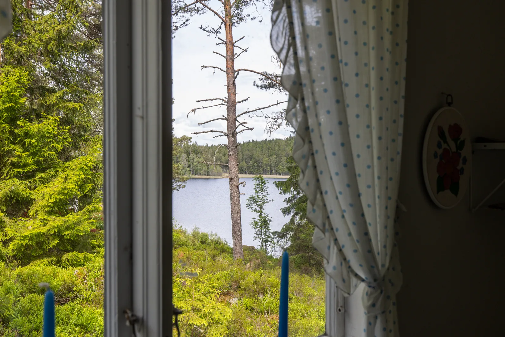 Gård/Skog, Botjärnen 1, Storfors