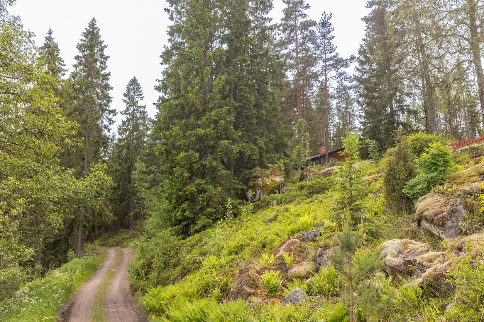 Gård/Skog, Botjärnen 1, Storfors