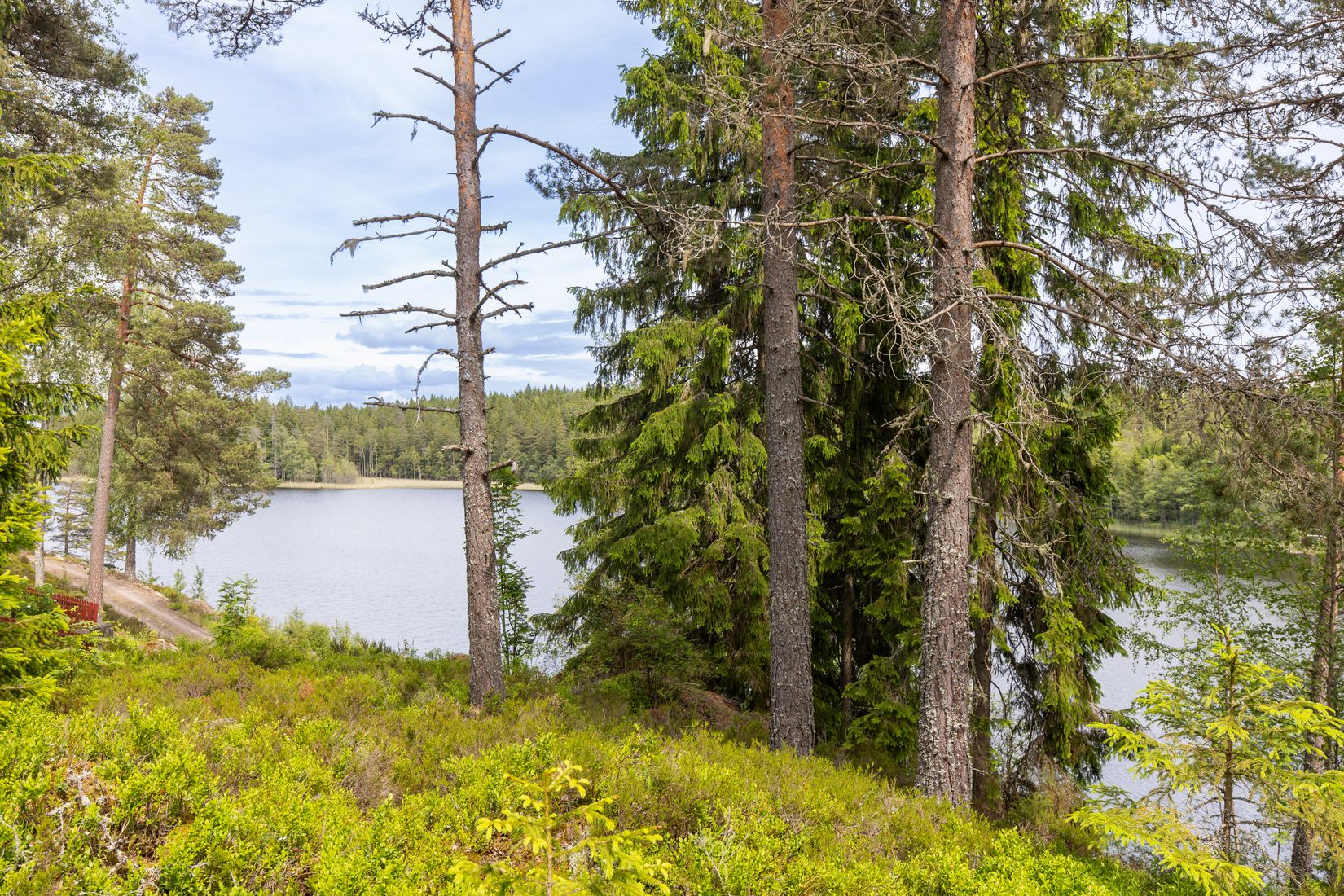 Gård/Skog, Botjärnen 1, Storfors