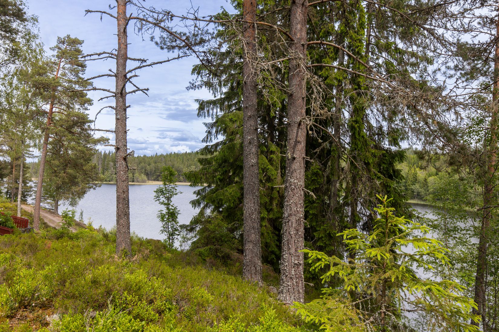 Gård/Skog, Botjärnen 1, Storfors