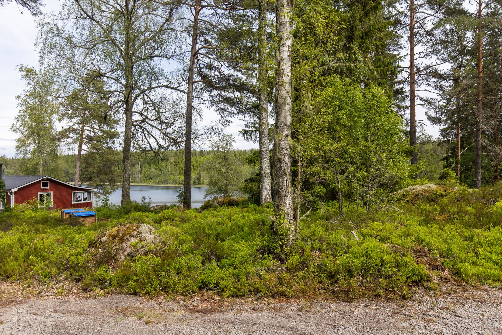 Gård/Skog, Botjärnen 1, Storfors