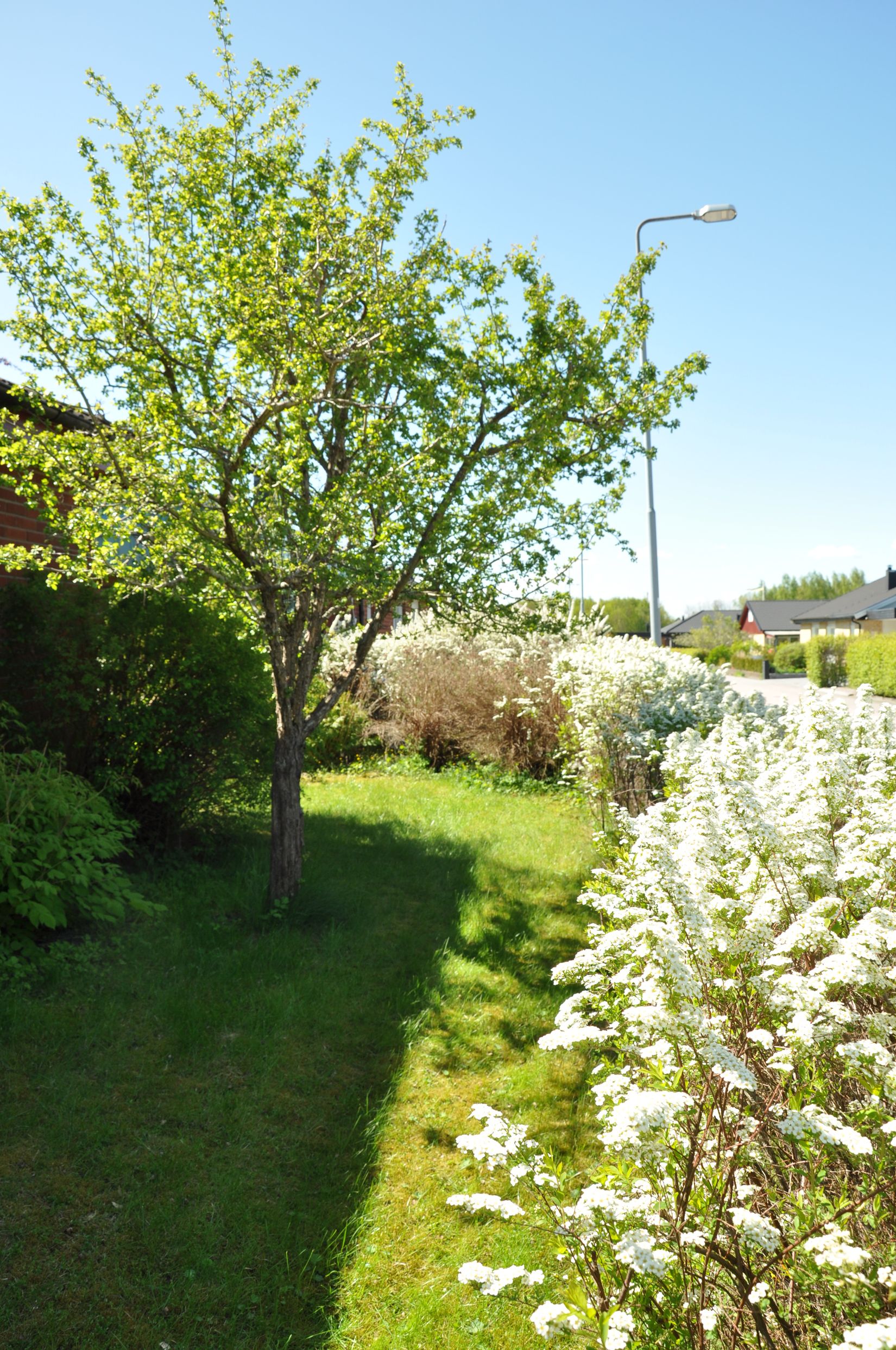 Villa, Gräsgatan 1, Korsängen, Enköping