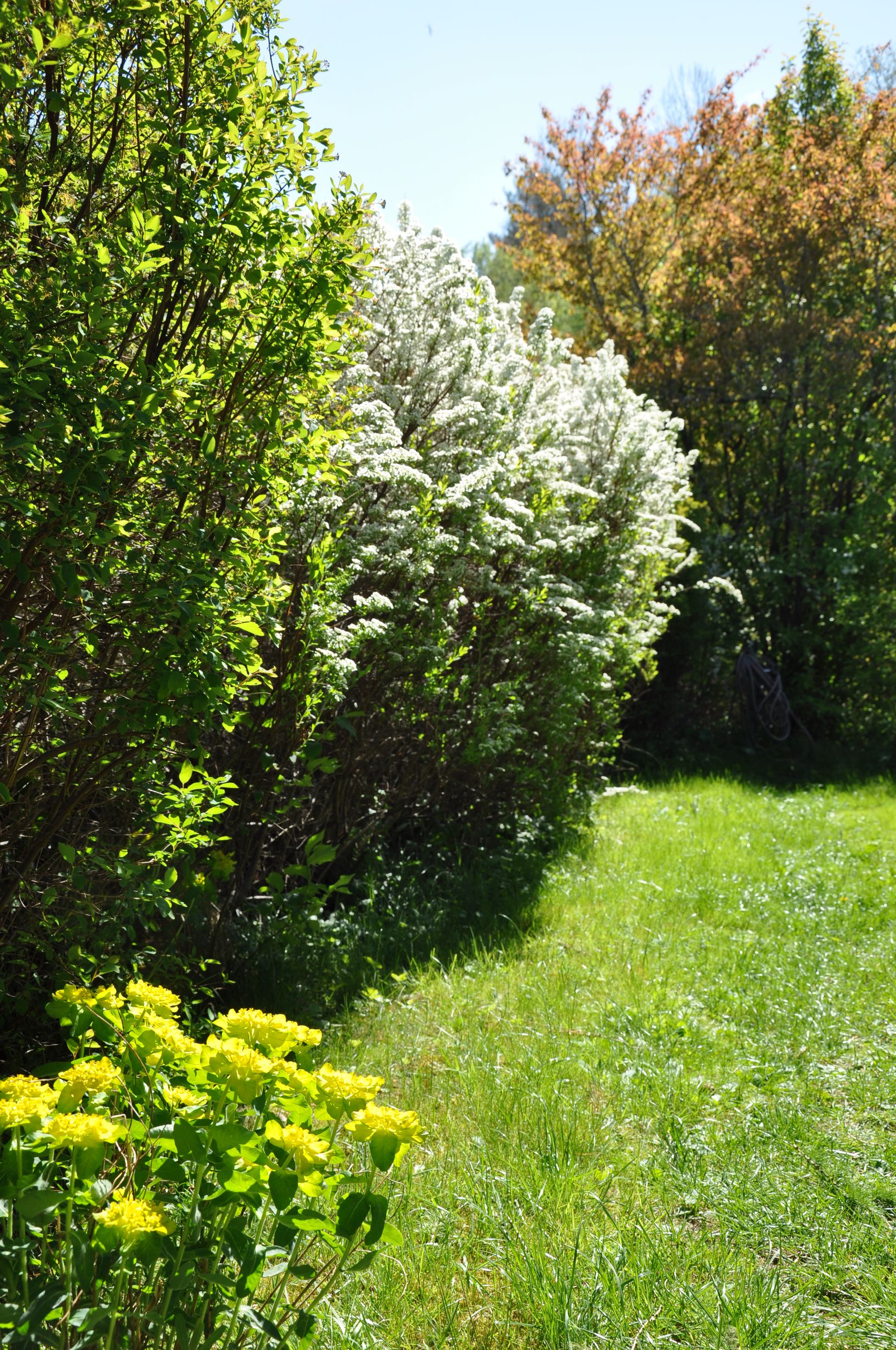 Villa, Gräsgatan 1, Korsängen, Enköping