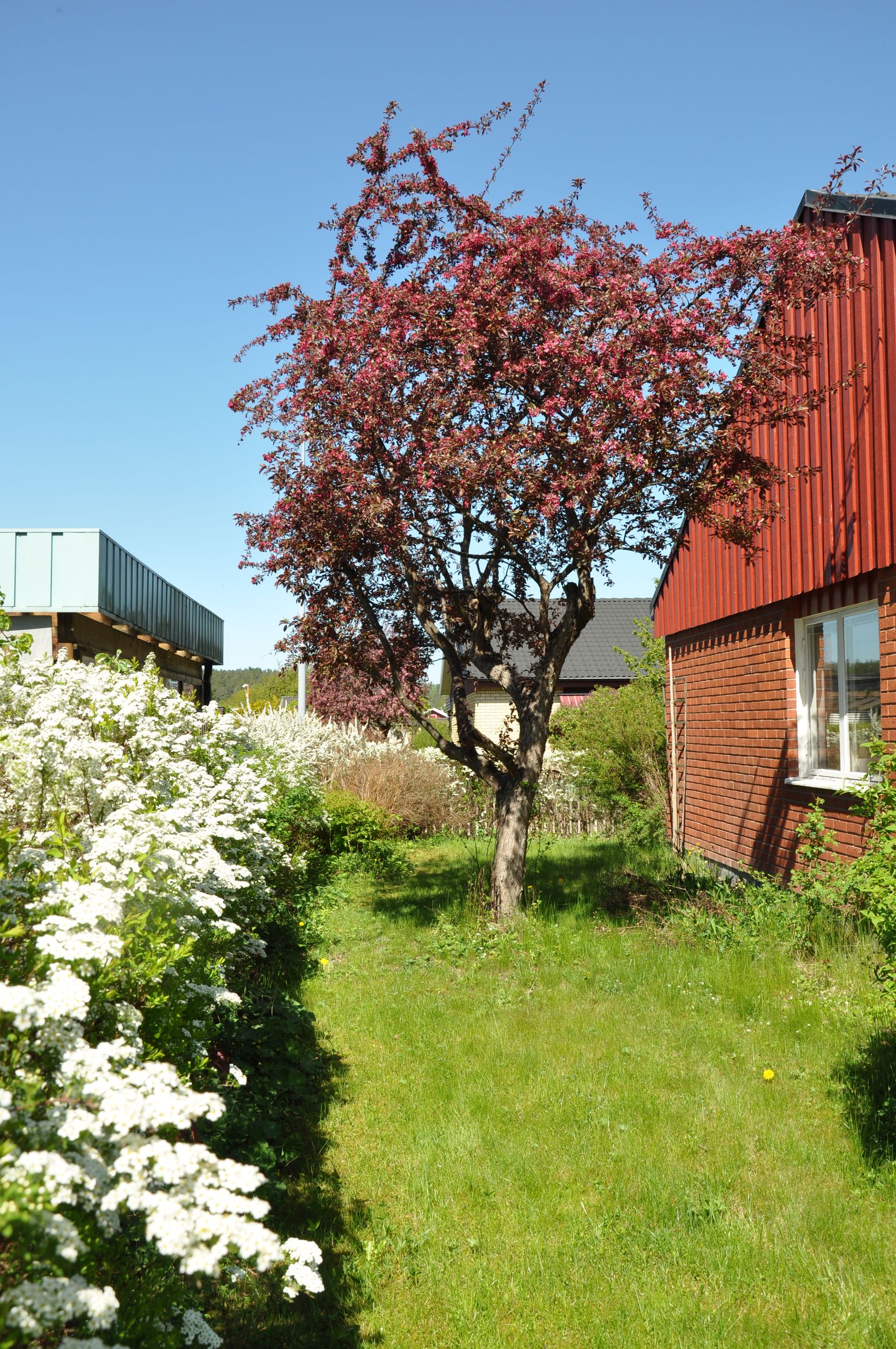 Villa, Gräsgatan 1, Korsängen, Enköping