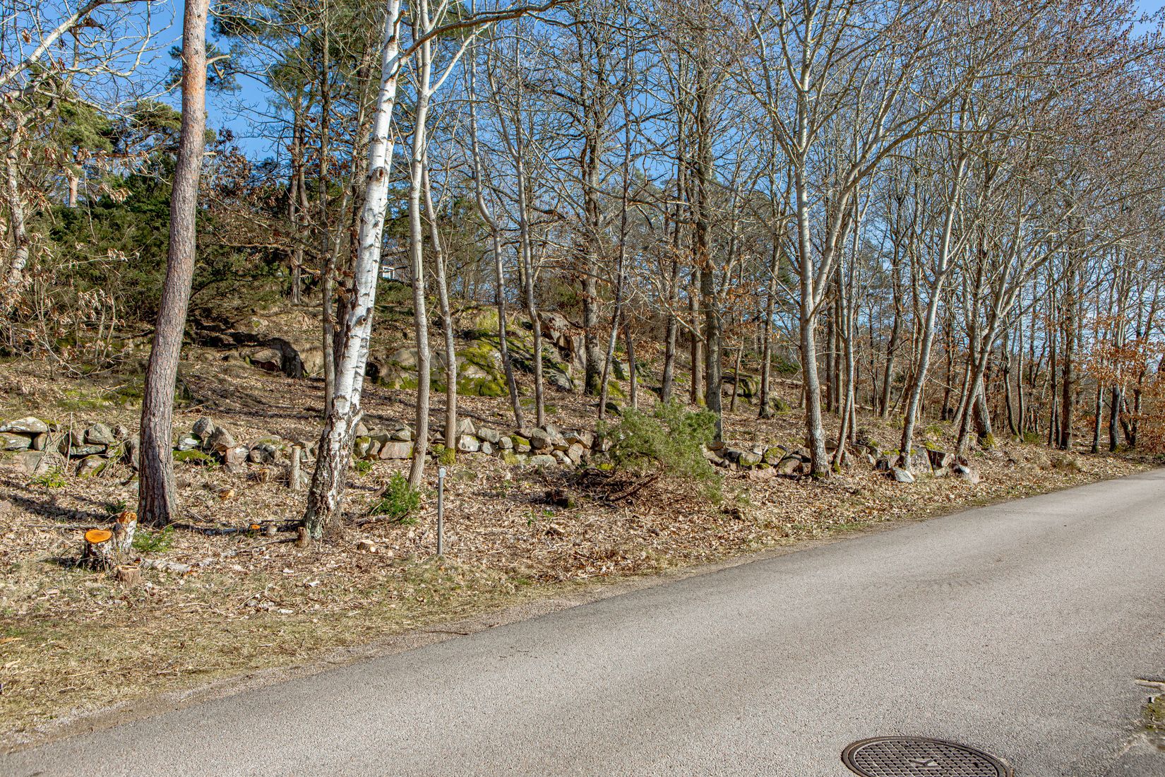 Tomt, Tomt vid Klippekullevägen i natursköna Steninge!, Steninge, Halmstad