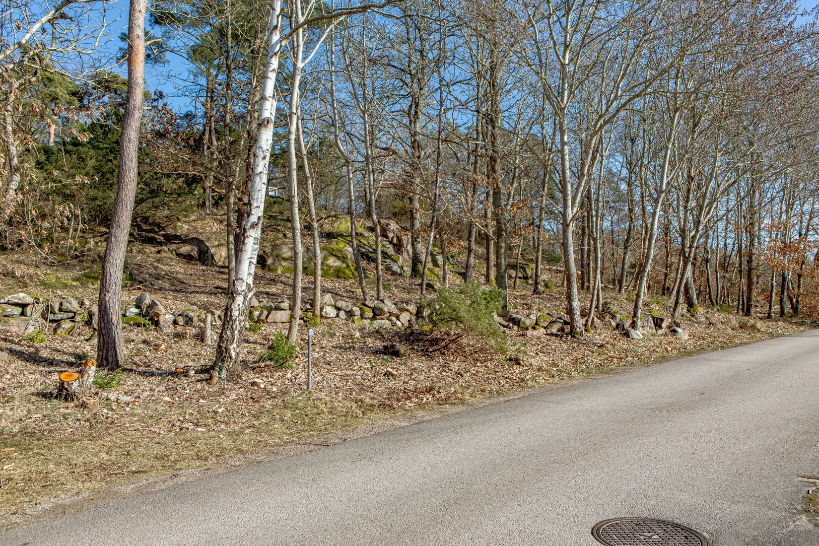 Tomt, Tomt vid Klippekullevägen i natursköna Steninge!, Steninge, Halmstad