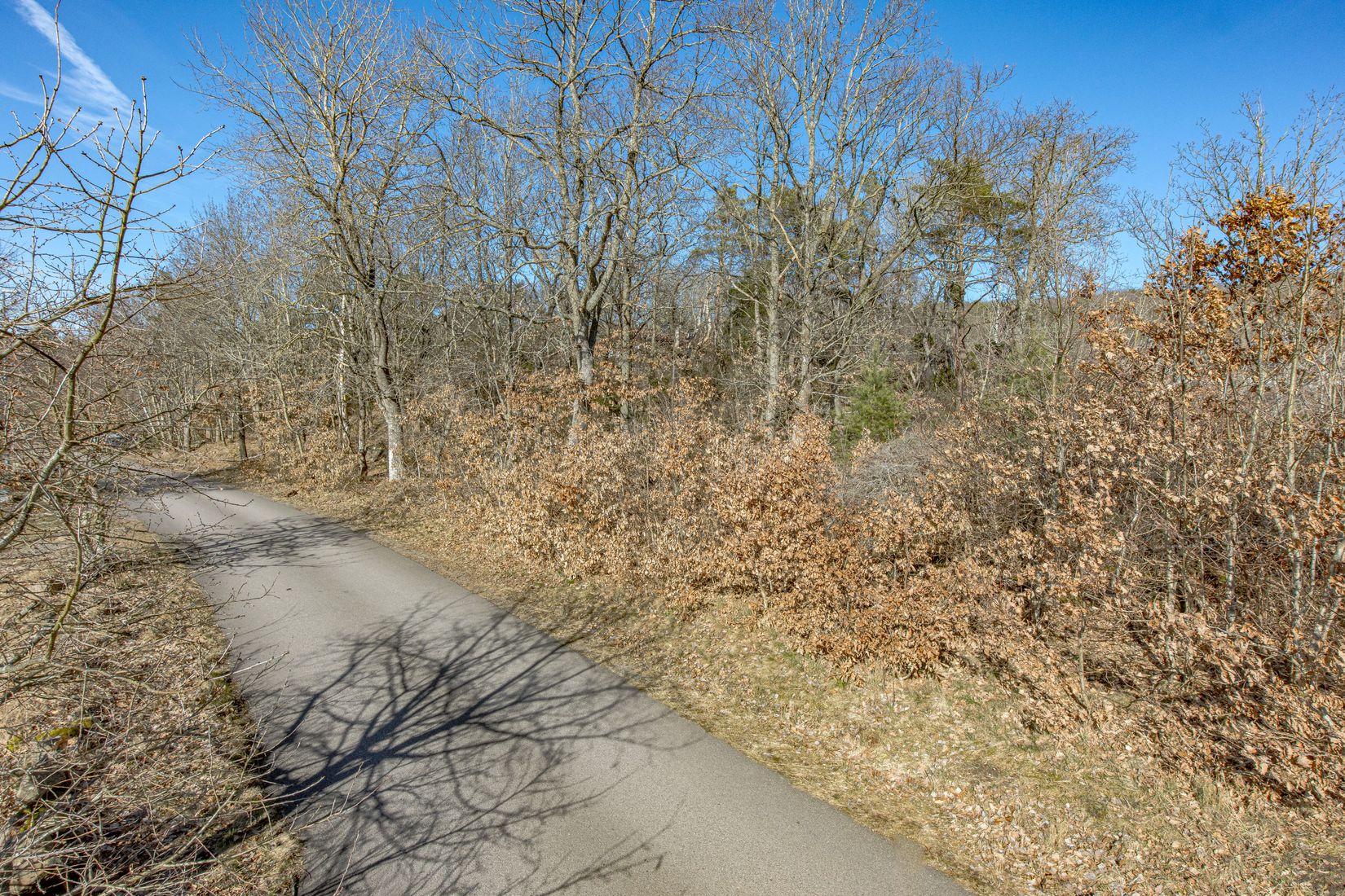 Tomt, Tomt vid Klippekullevägen i natursköna Steninge!, Steninge, Halmstad