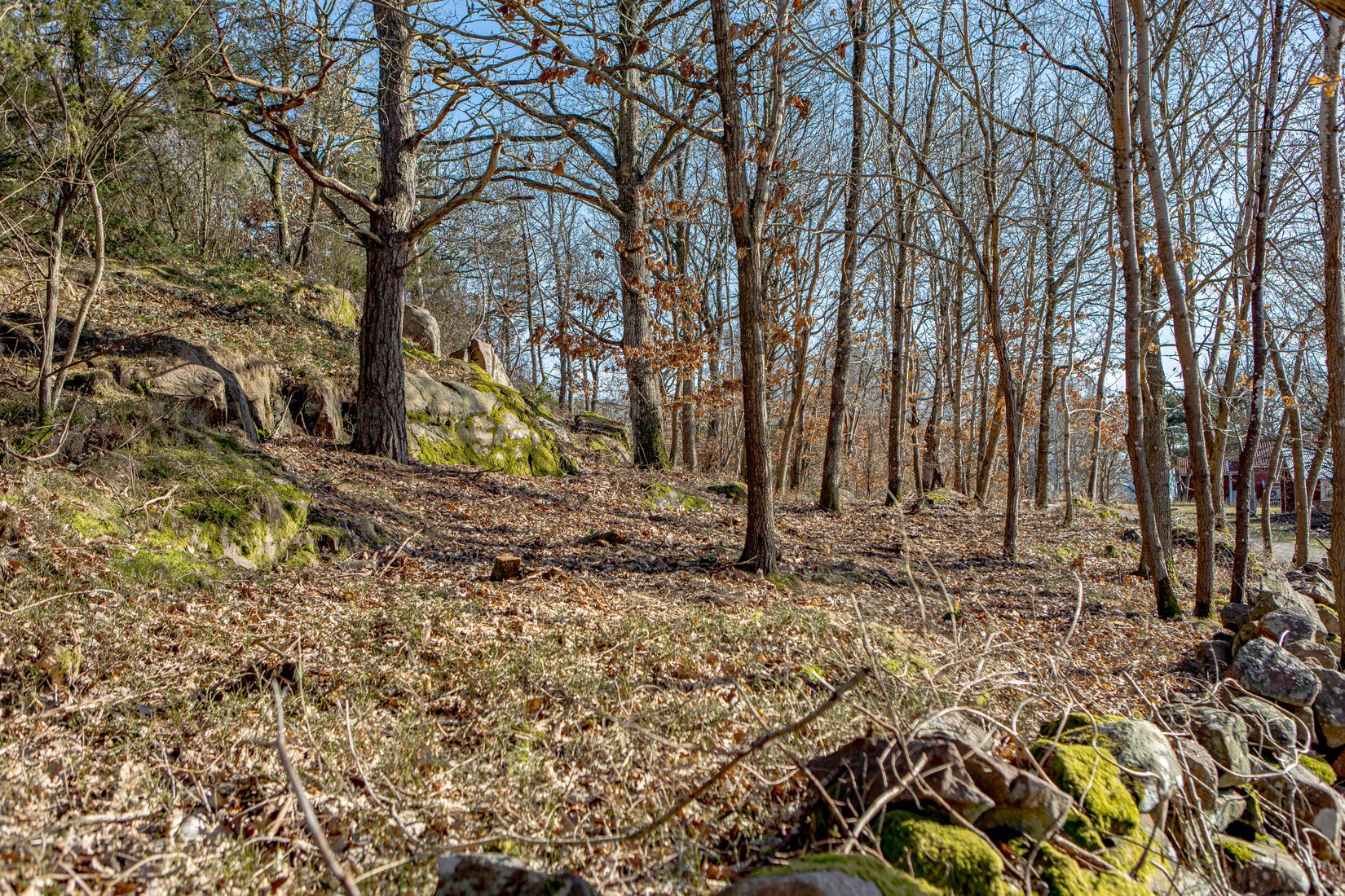 Tomt, Tomt vid Klippekullevägen i natursköna Steninge!, Steninge, Halmstad