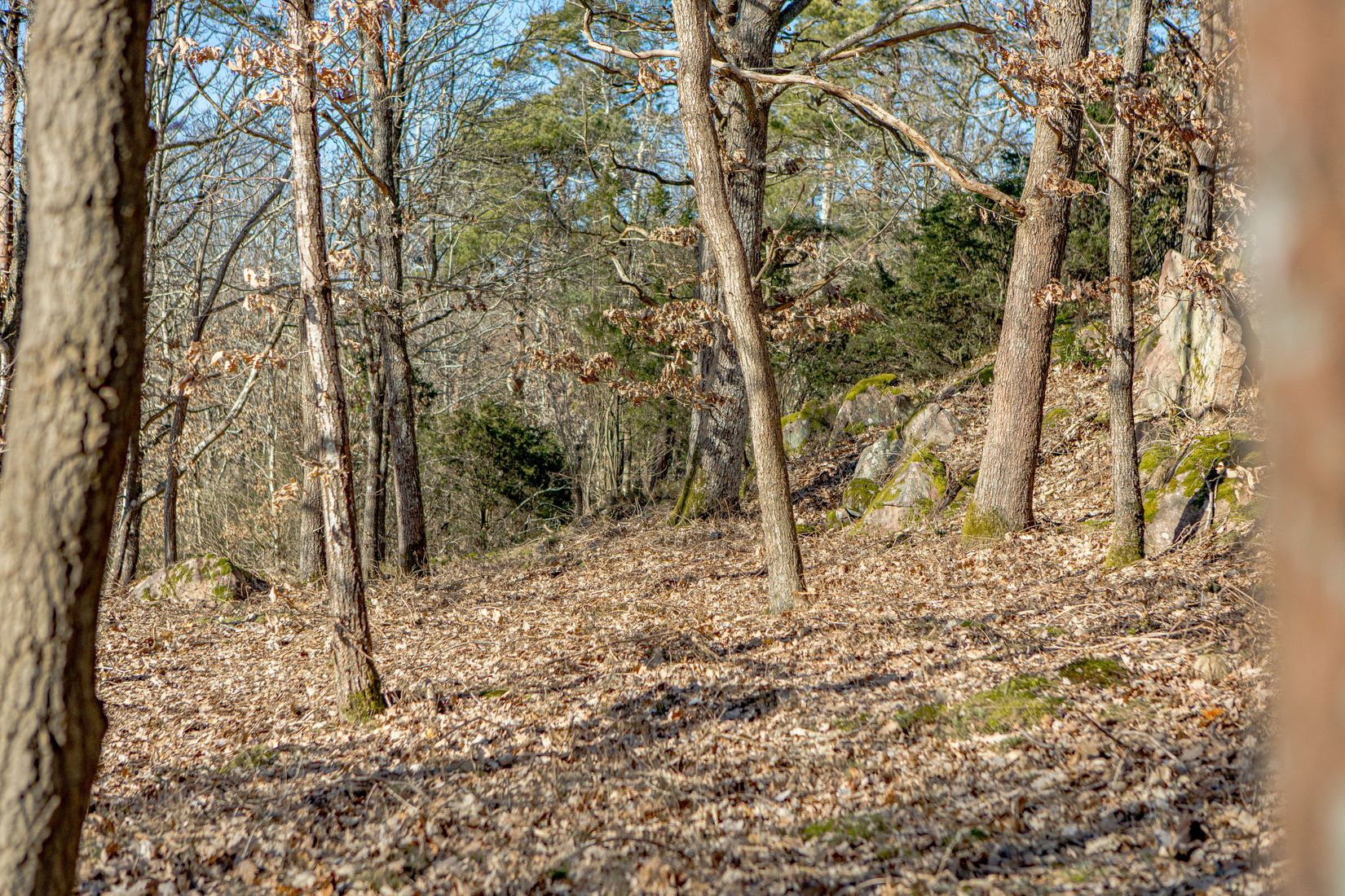 Tomt, Tomt vid Klippekullevägen i natursköna Steninge!, Steninge, Halmstad