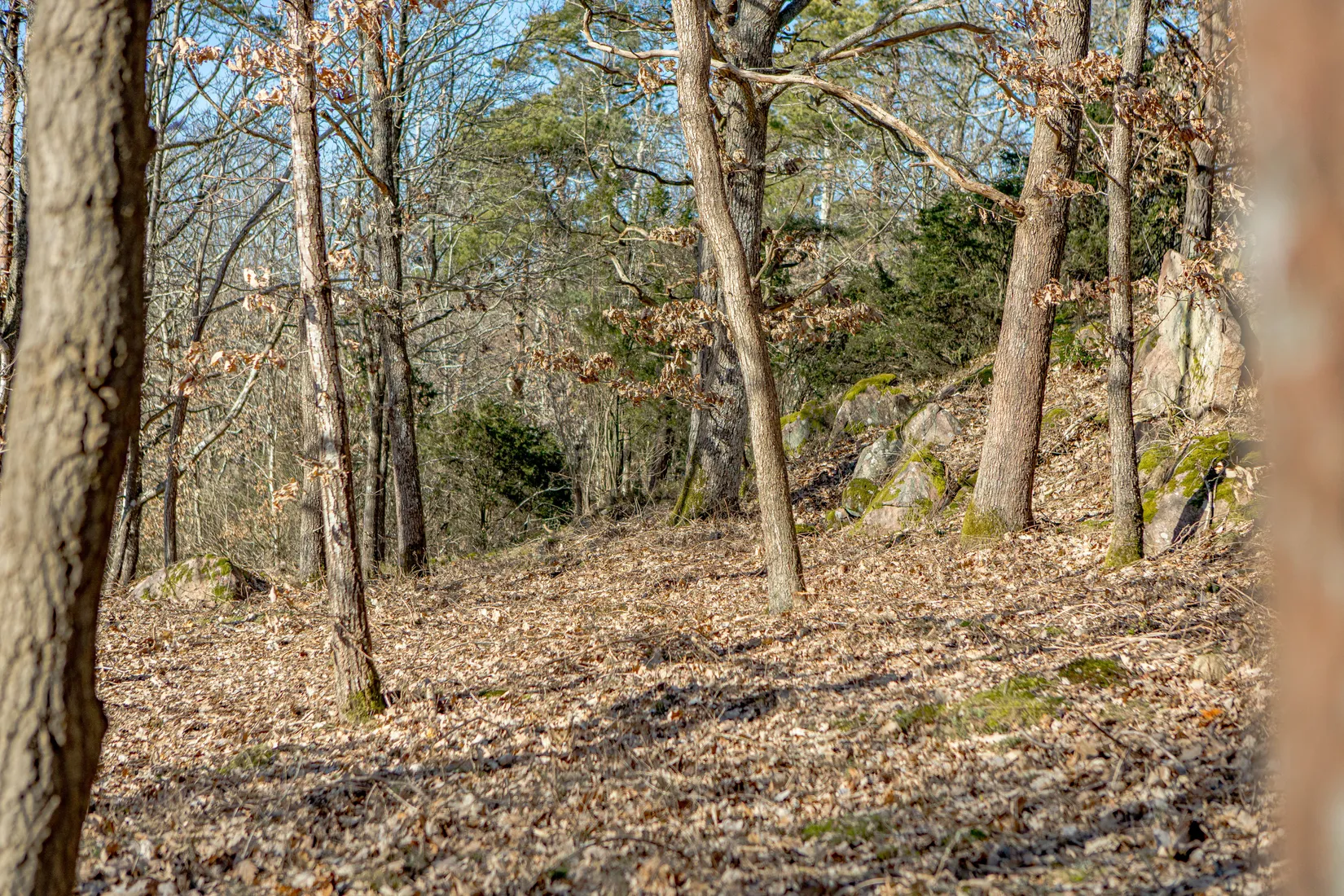 Tomt, Tomt vid Klippekullevägen i natursköna Steninge!, Steninge, Halmstad