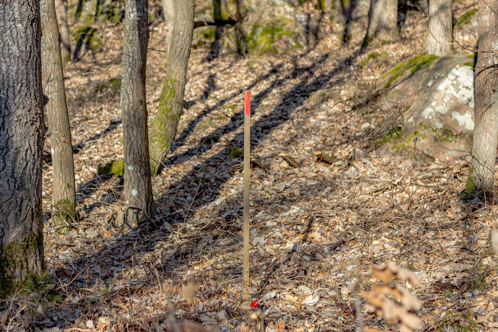 Tomt, Tomt vid Klippekullevägen i natursköna Steninge!, Steninge, Halmstad