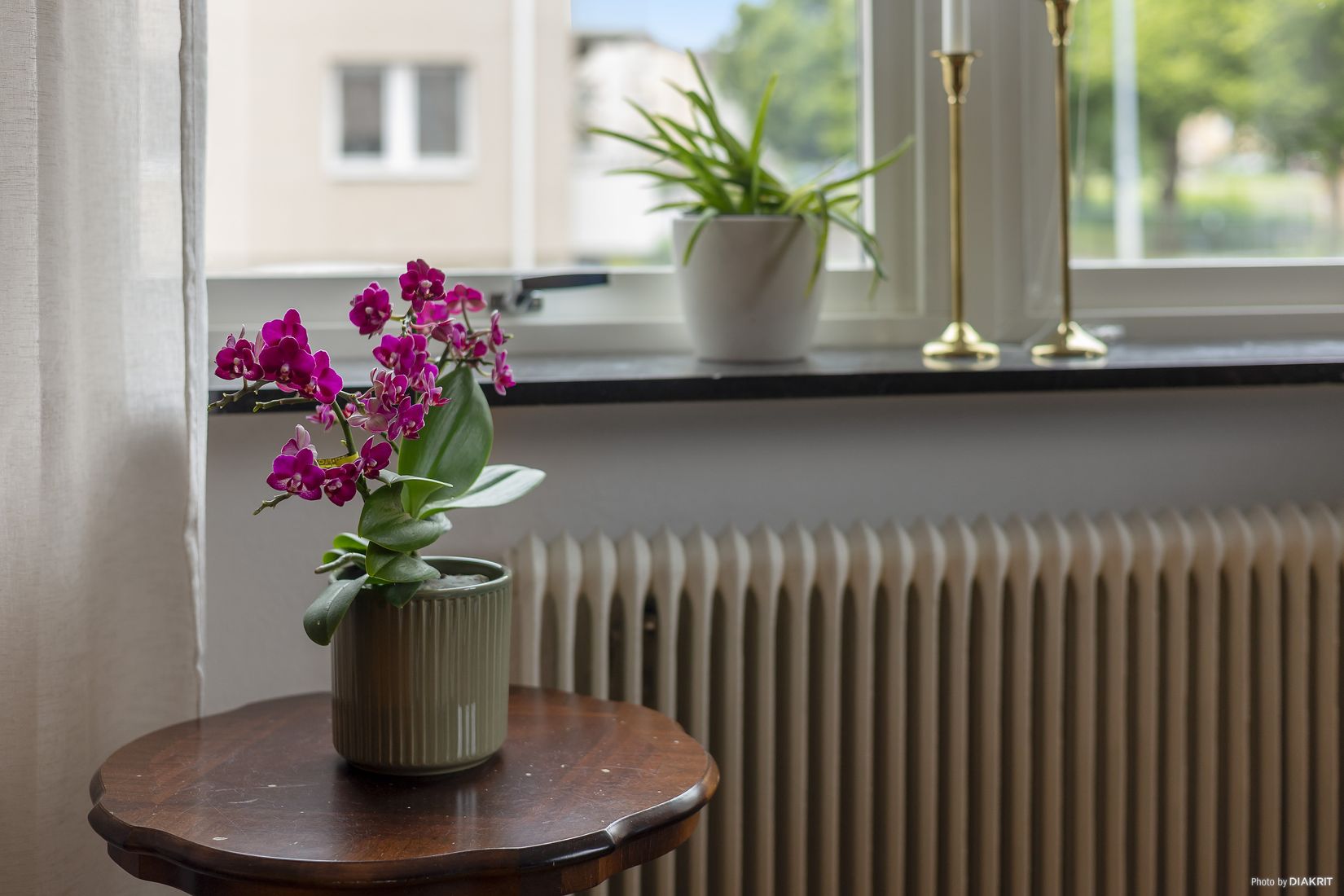 Bostadsrätt, Gustav Adolfsgatan 22, Vasastaden, Linköping