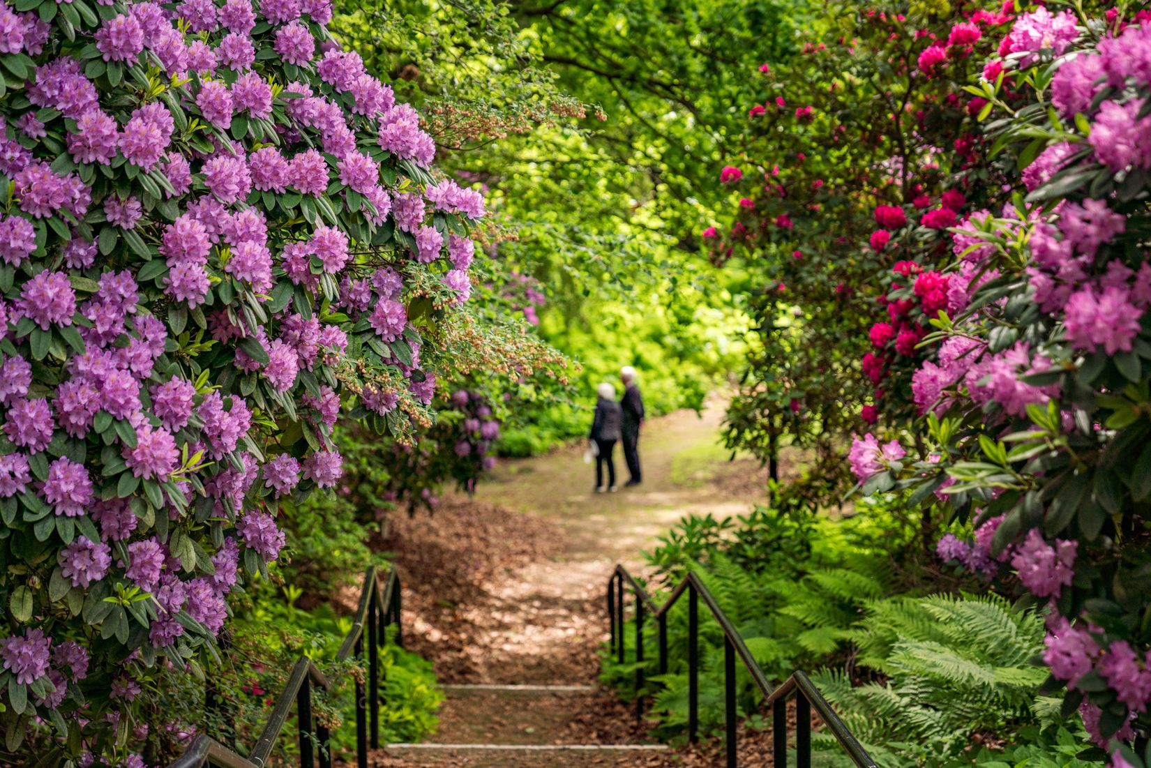 Bostadsrätt, Lenngrensgatan 1B, Norr, Helsingborg