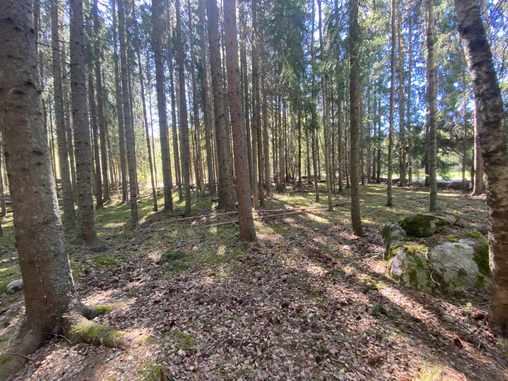 Tomt, Svensbäck 8, Järvsö, Svensbäck, Ljusdal