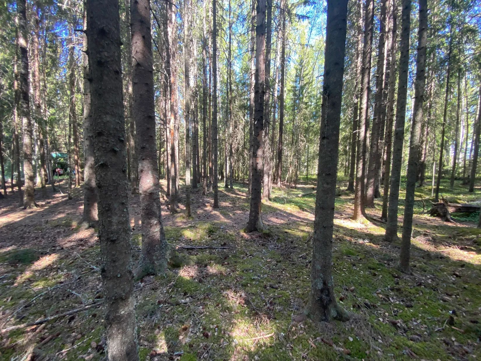 Tomt, Svensbäck 8, Järvsö, Svensbäck, Ljusdal