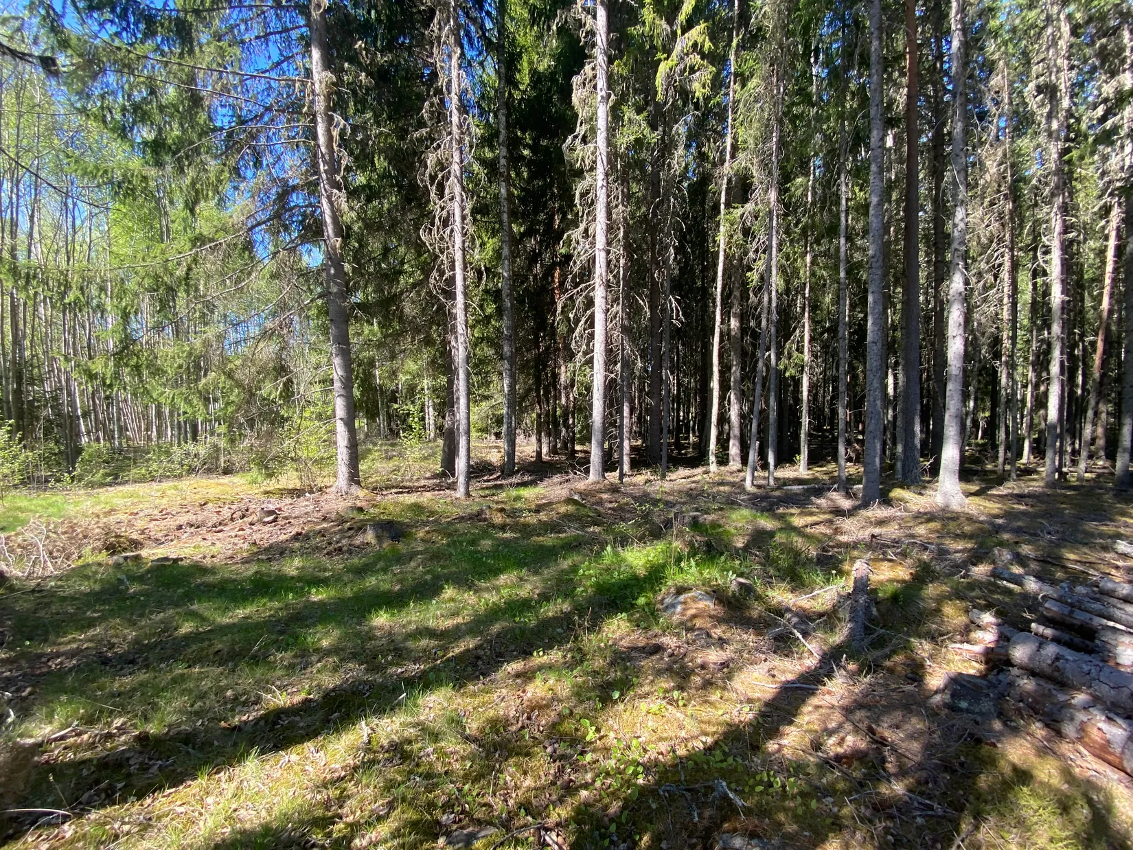 Tomt, Svensbäck 8, Järvsö, Svensbäck, Ljusdal