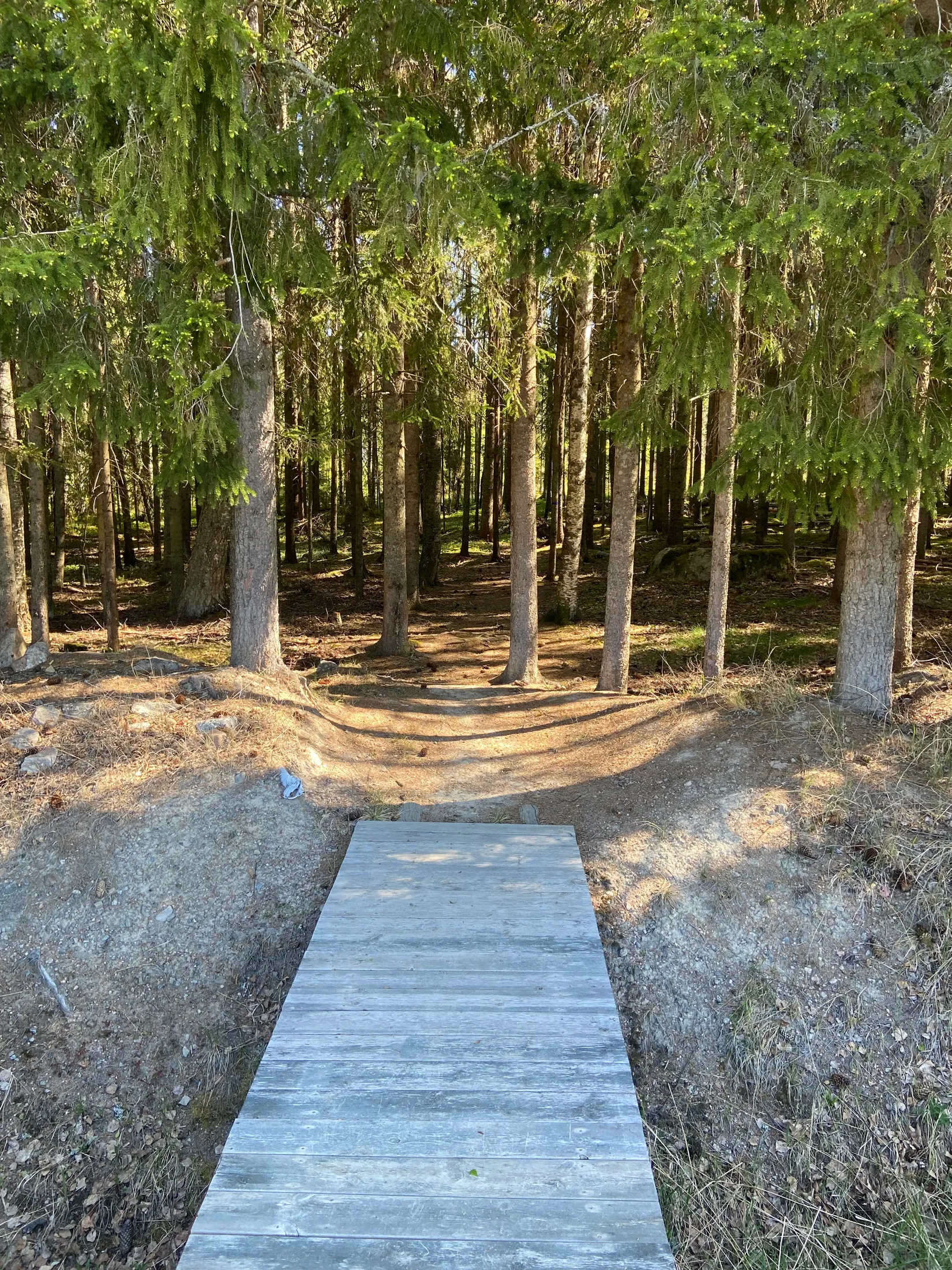 Tomt, Svensbäck 8, Järvsö, Svensbäck, Ljusdal