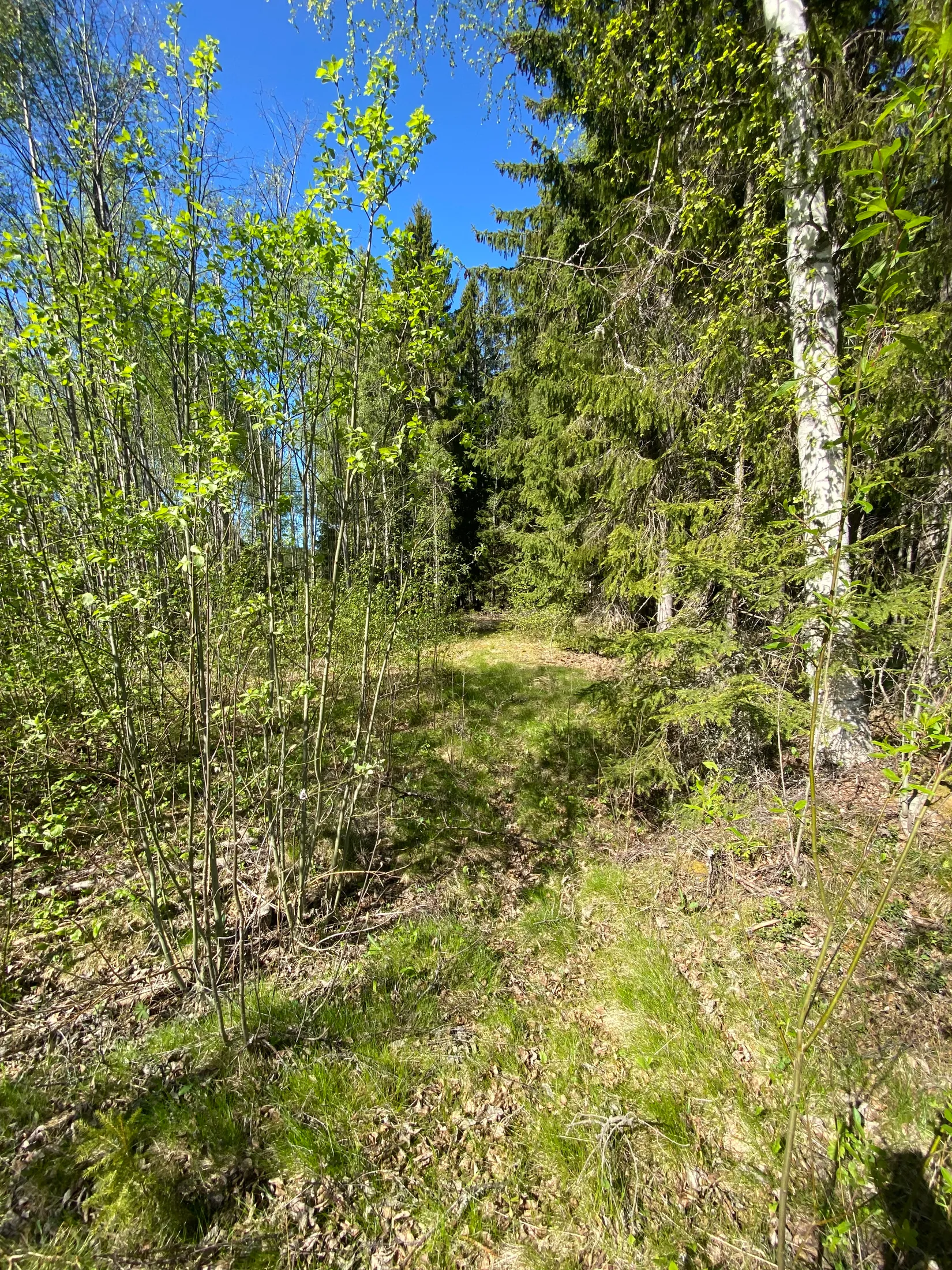 Tomt, Svensbäck 8, Järvsö, Svensbäck, Ljusdal