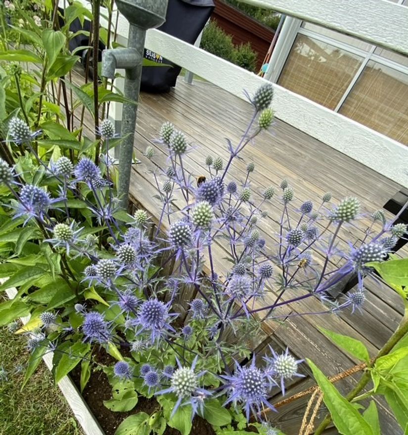 Villa, Björkstigen 15, Öster, Hudiksvall