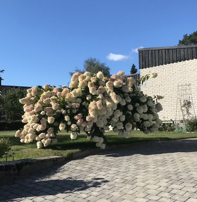 Villa, Björkstigen 15, Öster, Hudiksvall