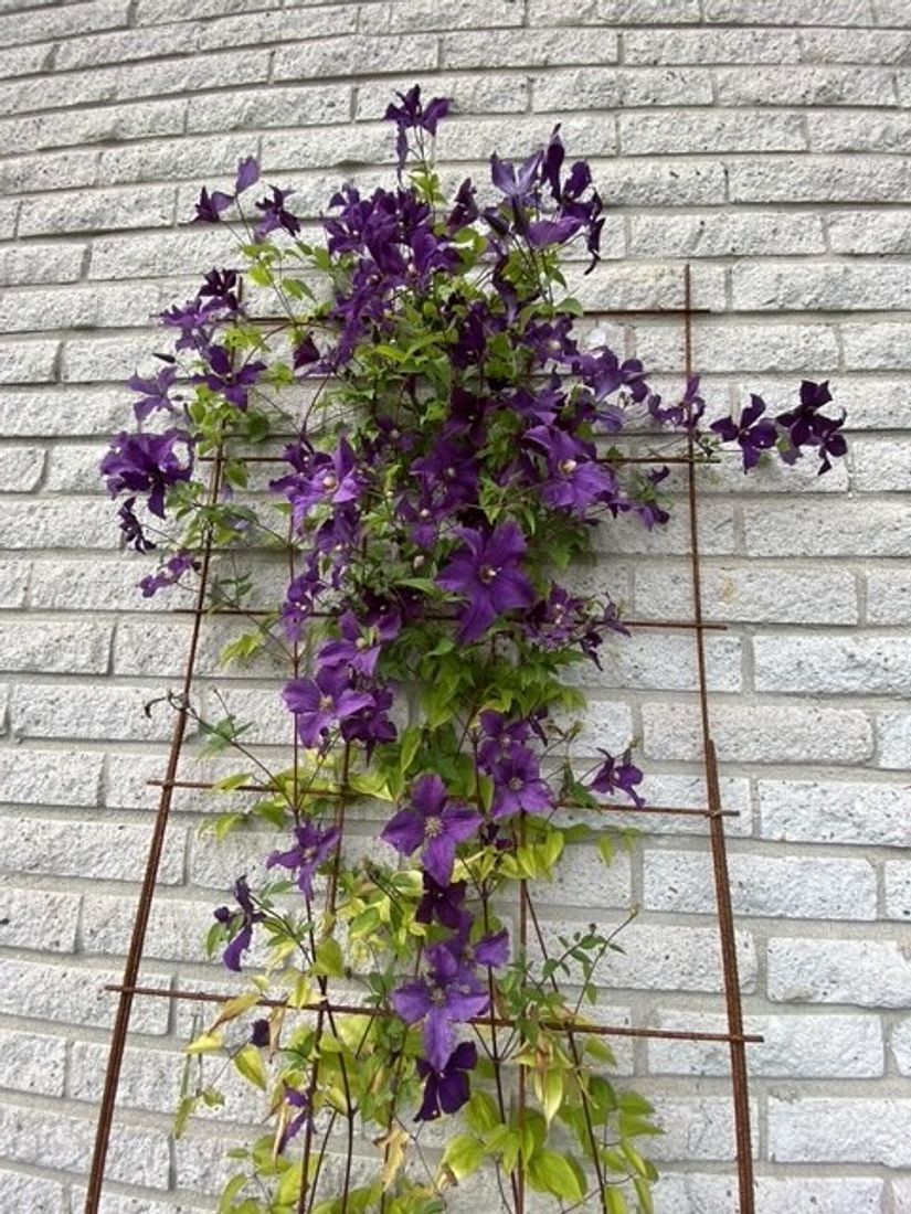 Villa, Björkstigen 15, Öster, Hudiksvall