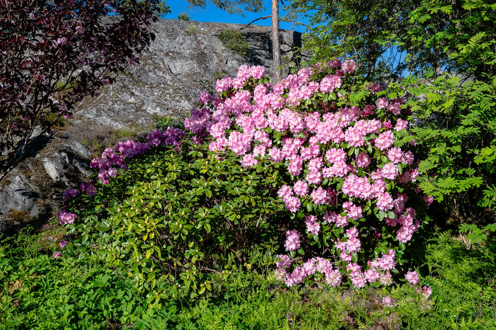 Fritidshus, Saxarfjärdsvägen 9, Ljusterö-Kårnäs, Österåker