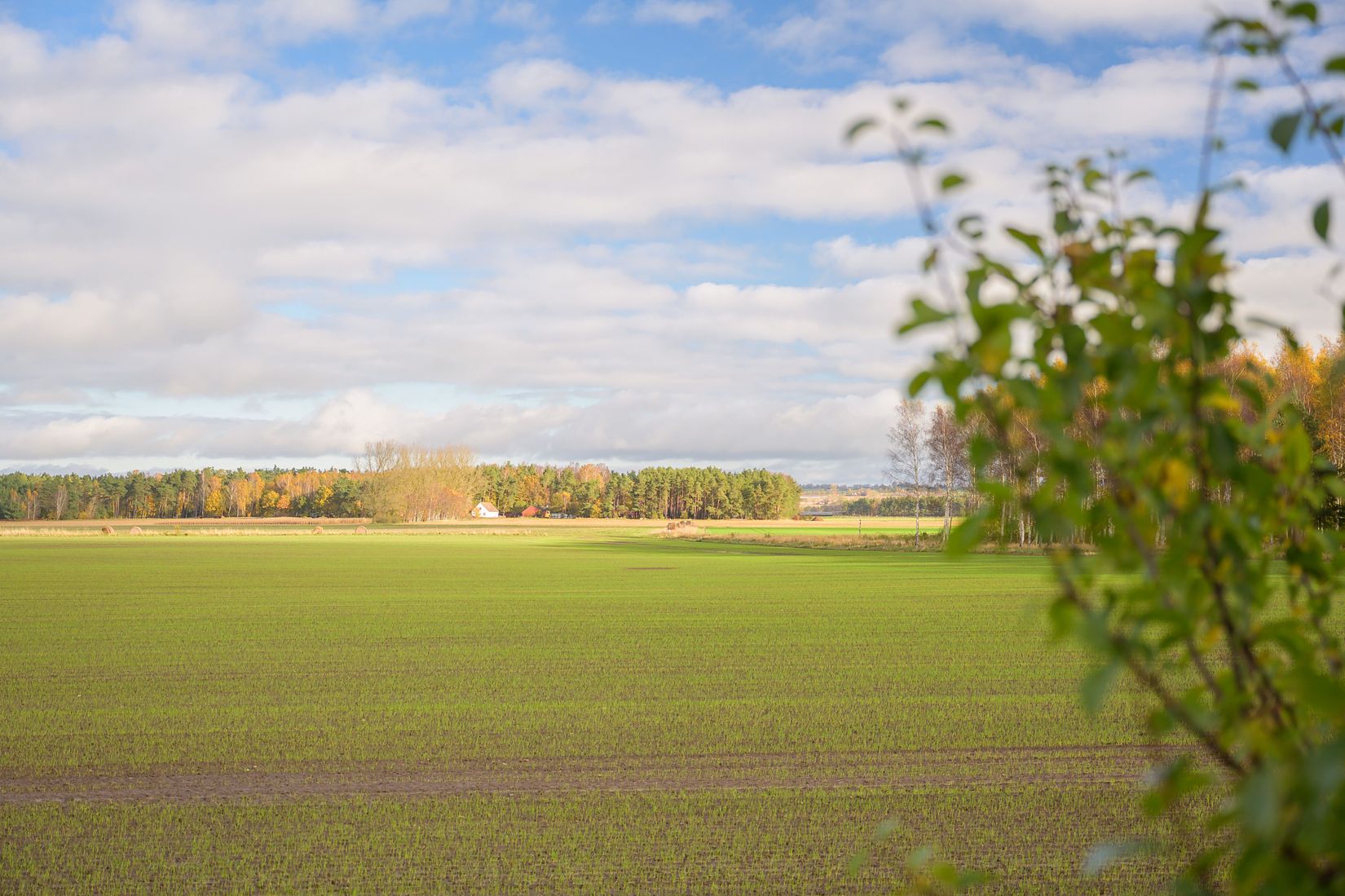 Bostadsrätt, Blodboksvägen 19, Södra Sandby, Lund