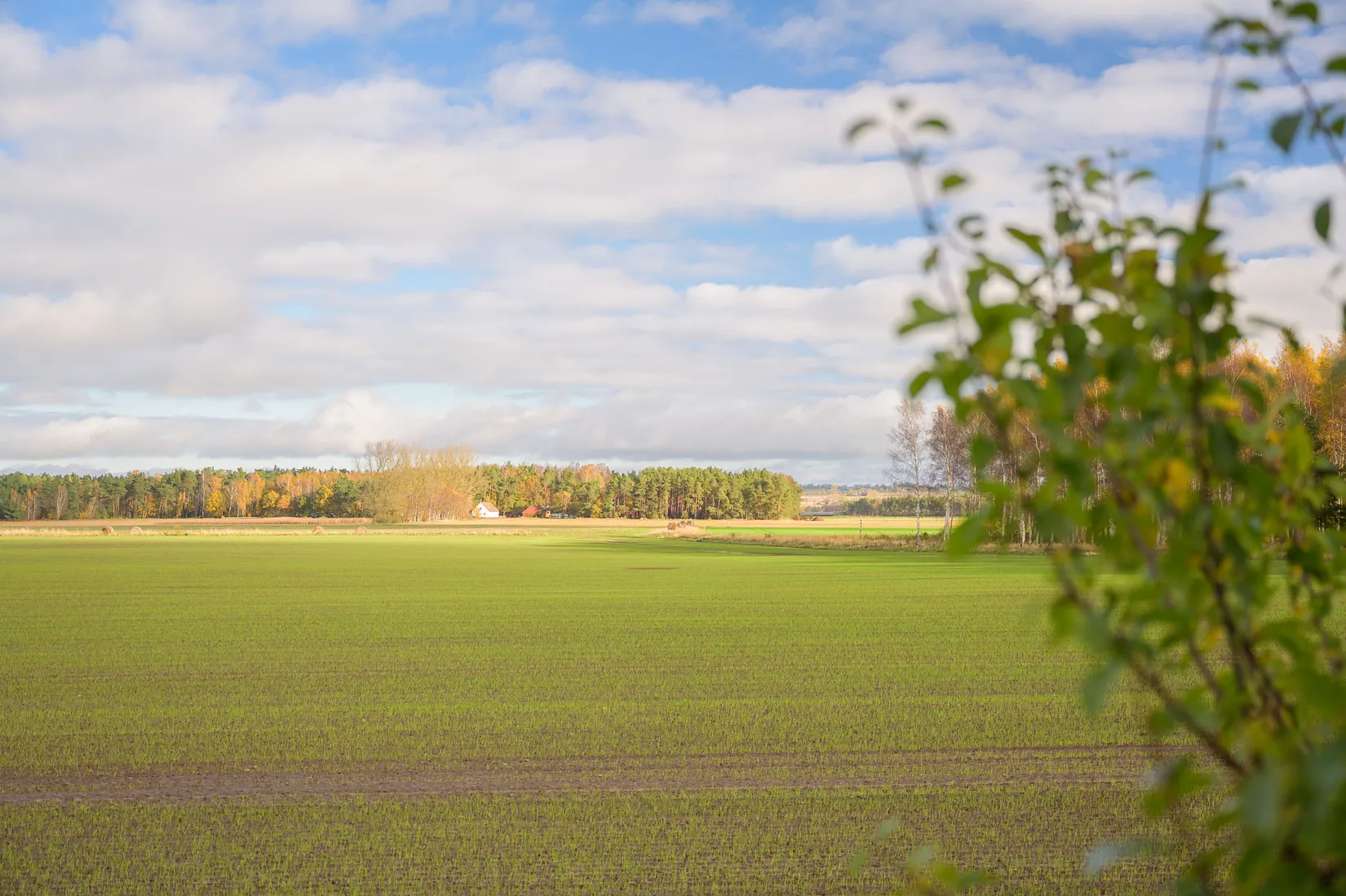 Radhus, Blodboksvägen 19, Södra Sandby, Lund