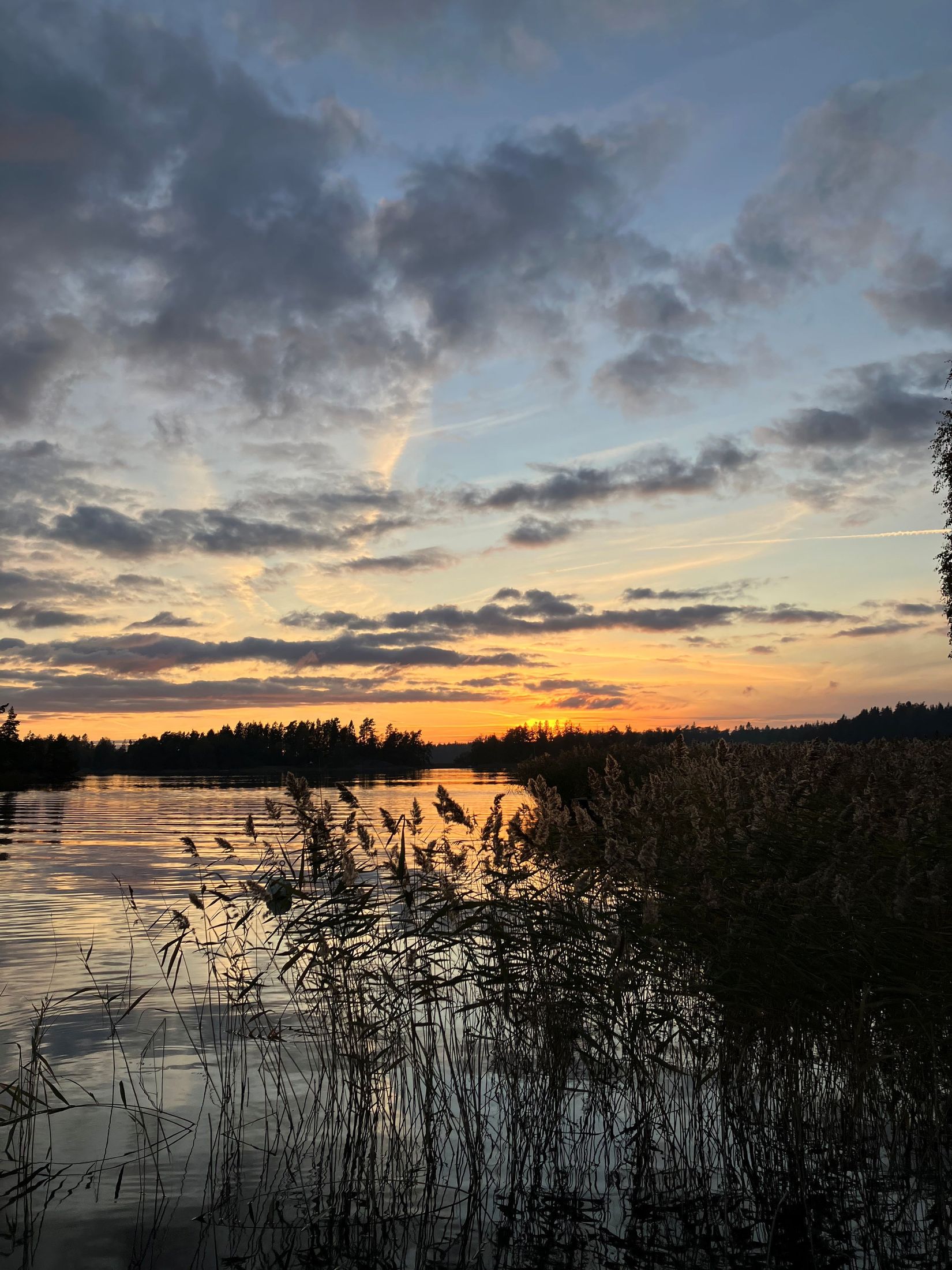 Tomt, Bussholmsvägen 25, Åkerö - Bussholmen, Norrtälje