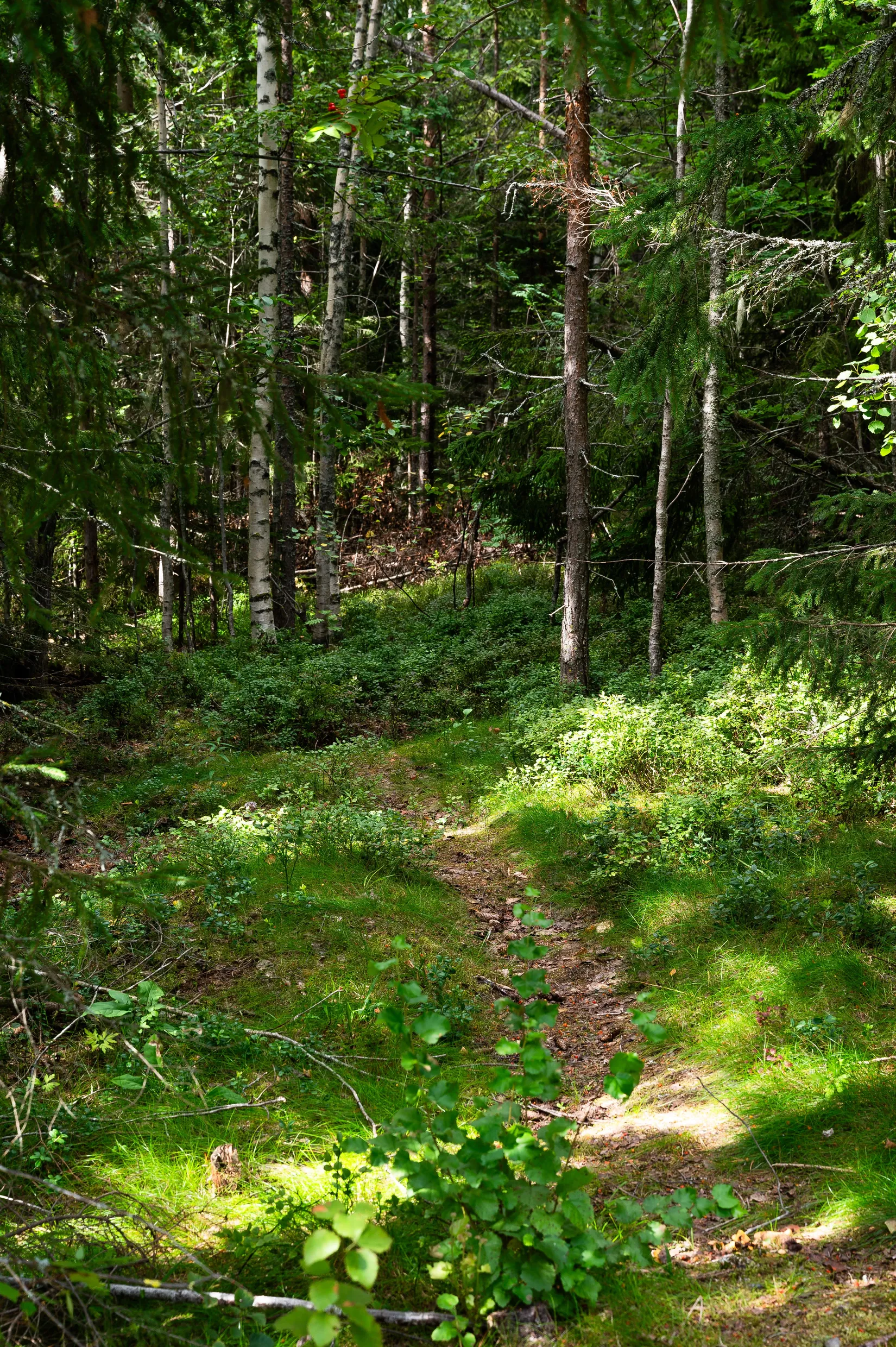 Fritidshus, Oxsta 201, Selånger, Sundsvall