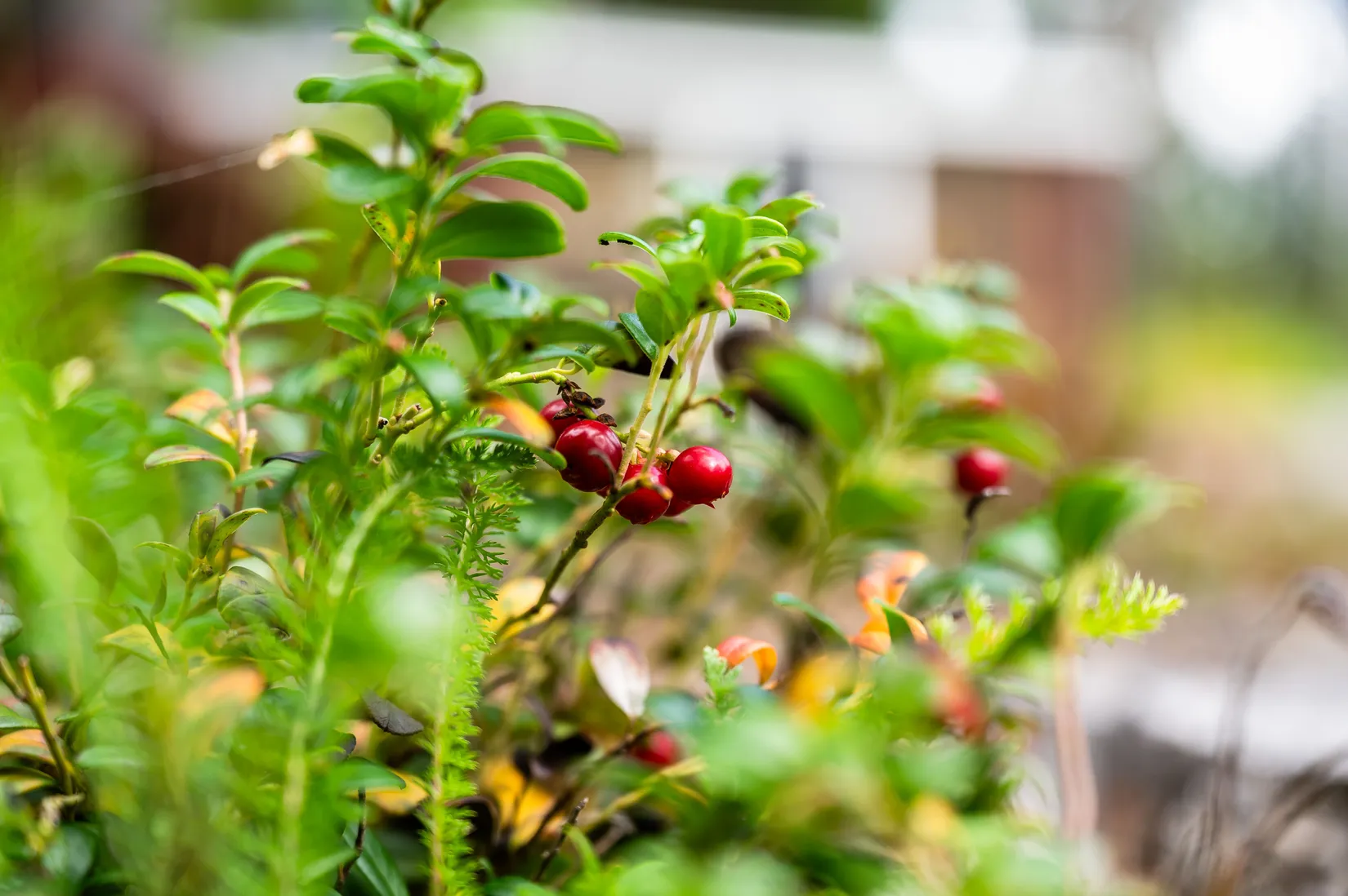 Fritidshus, Oxsta 201, Selånger, Sundsvall