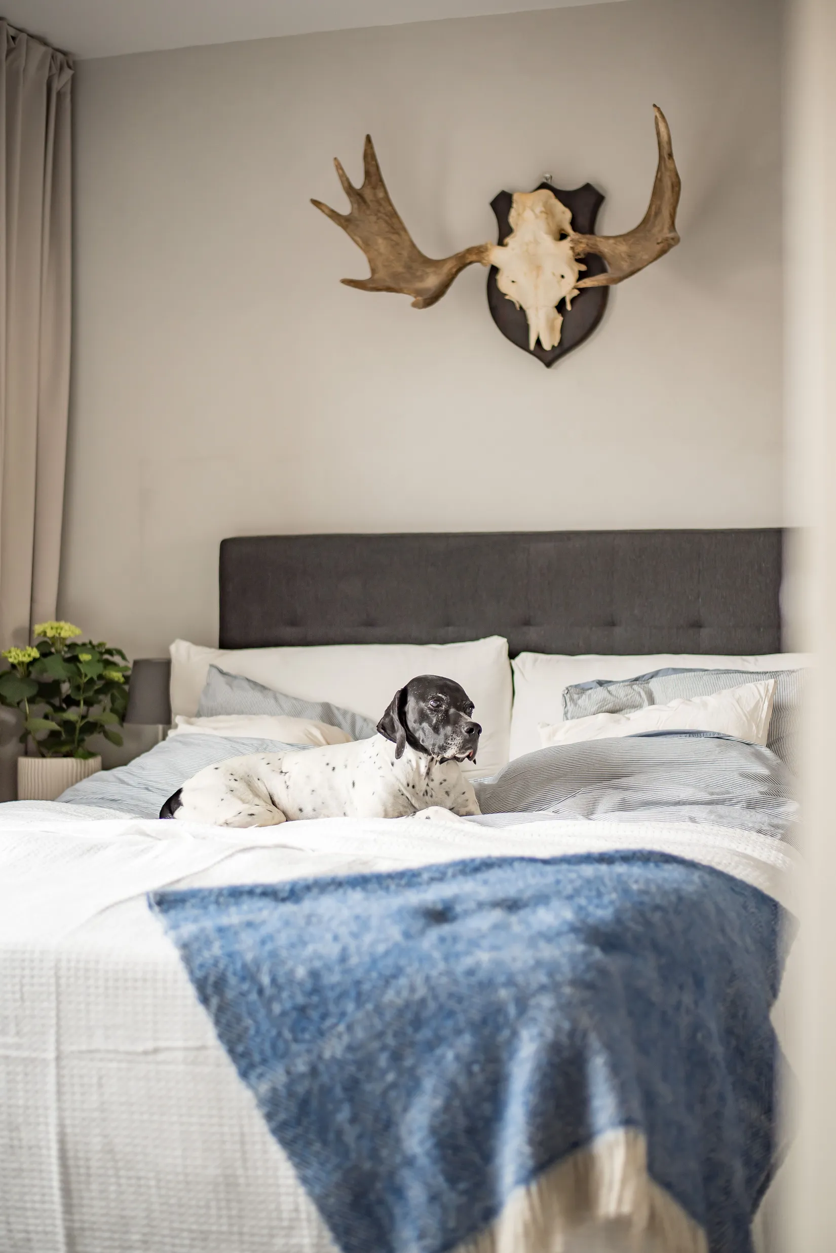 Bostadsrätt, Stationsgatan 13, Centrum, Borlänge