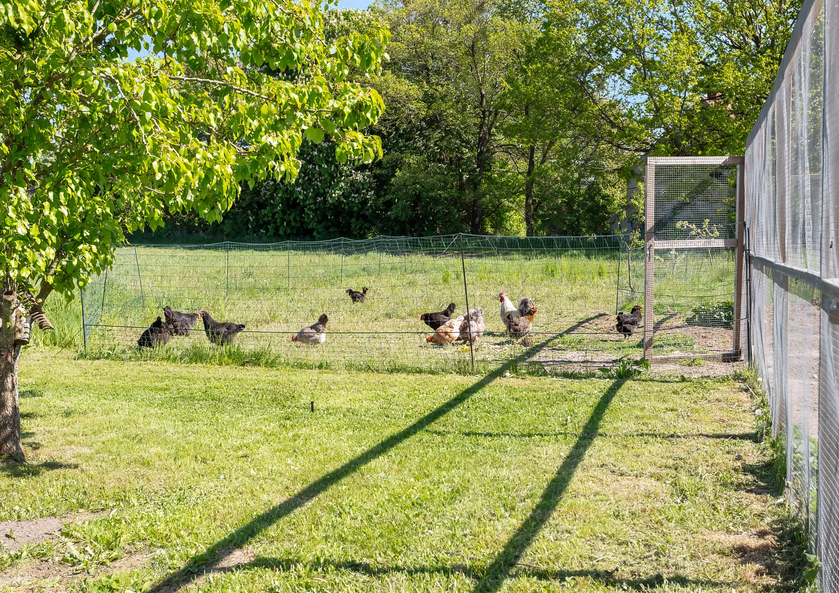 Villa, Bjärrödsvägen 17, Bjärsjölagård, Sjöbo