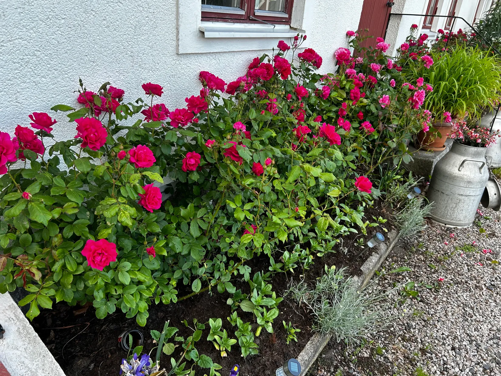 Villa, Bjärrödsvägen 17, Bjärsjölagård, Sjöbo