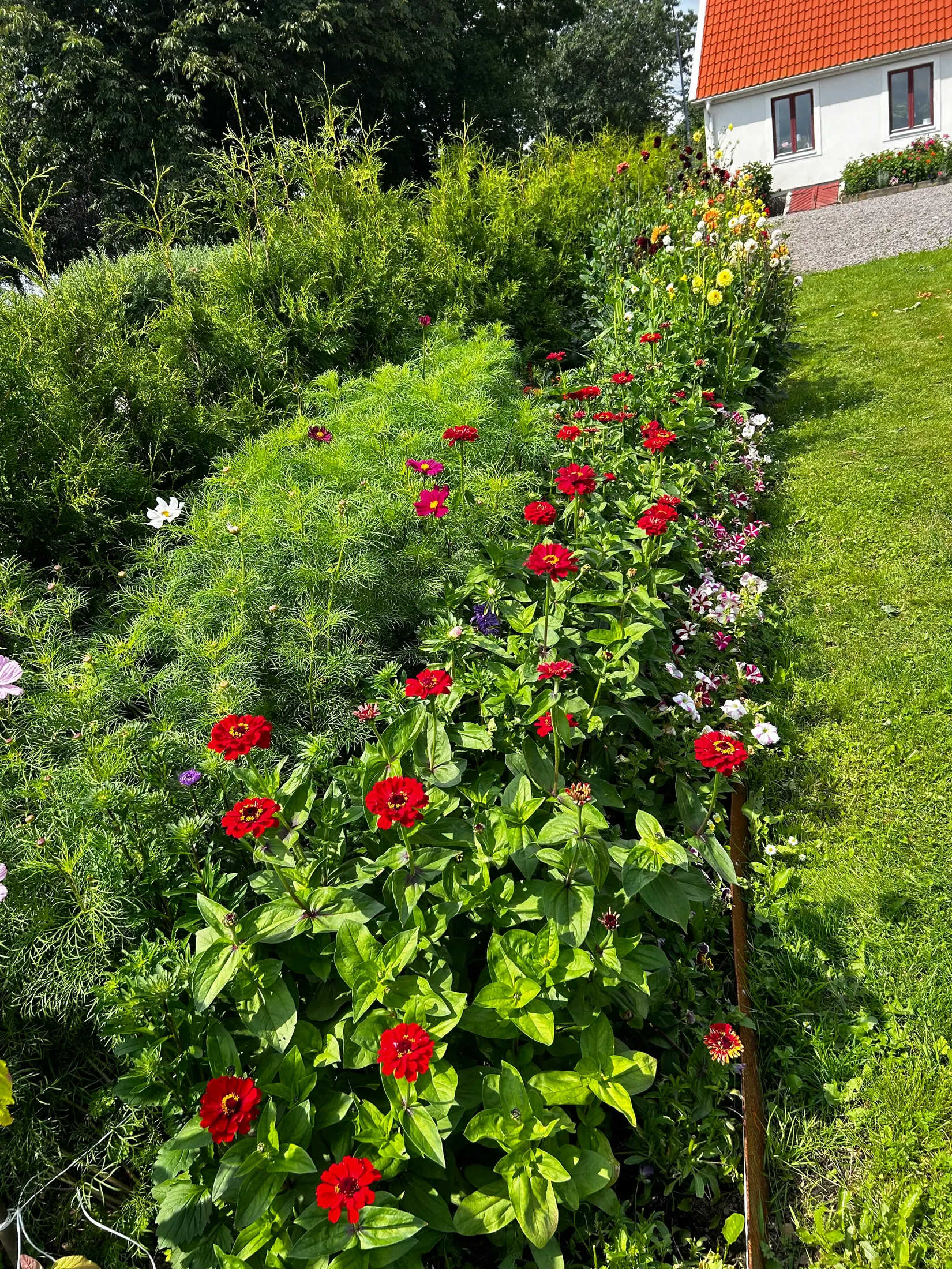 Villa, Bjärrödsvägen 17, Bjärsjölagård, Sjöbo