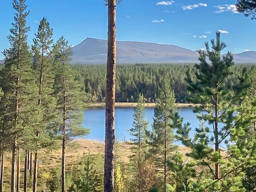 Radhus, Oltjärn 9, Oltjärn, Härjedalen