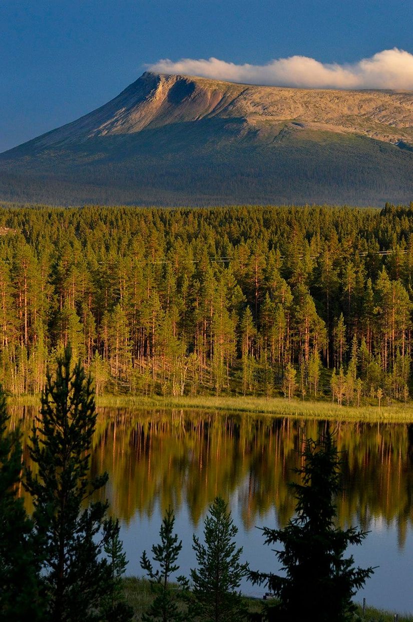 Radhus, Oltjärn 9, Oltjärn, Härjedalen