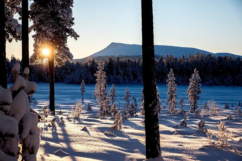 Radhus, Oltjärn 9, Oltjärn, Härjedalen