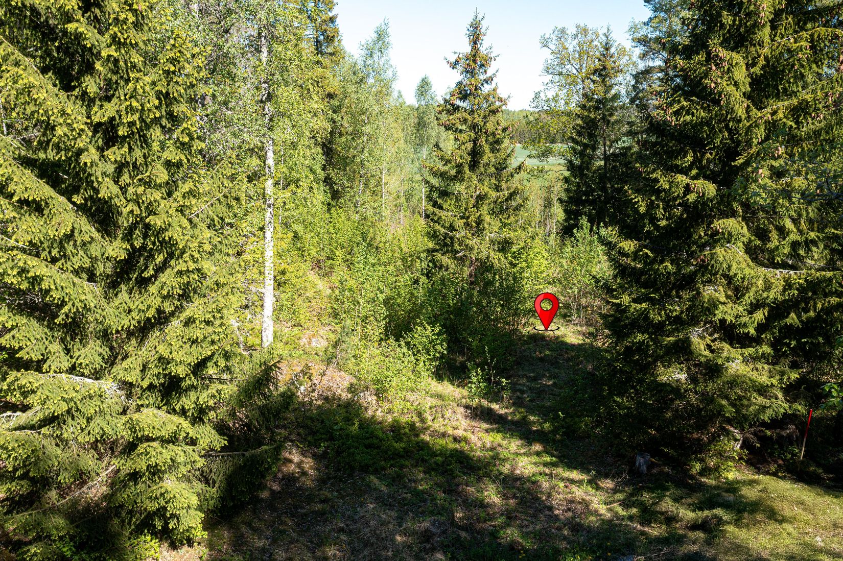Tomt, Med Naturen som granne!, Dåvö, Köping