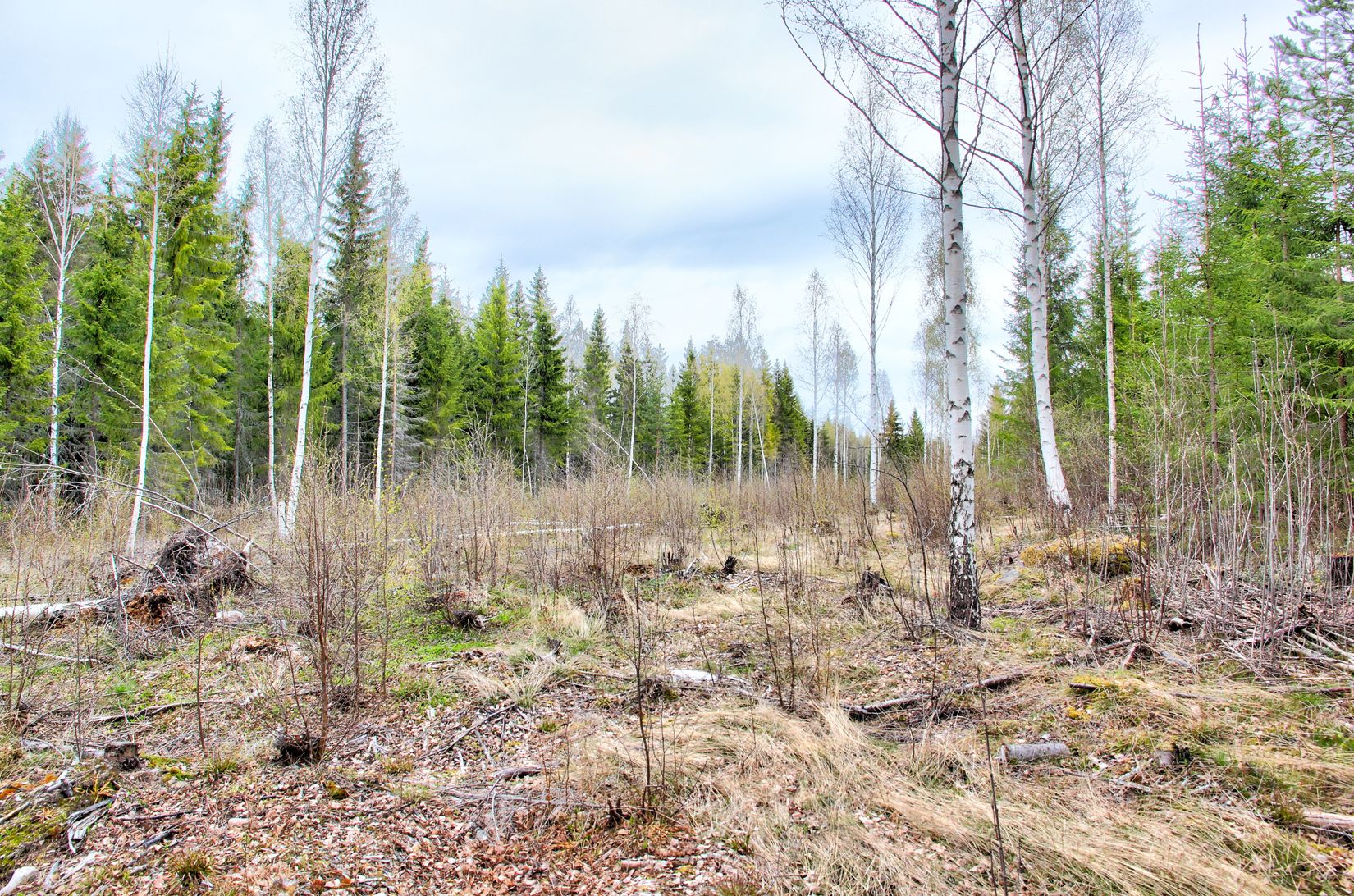 Tomt, Inälv 414, Inälv, Hudiksvall