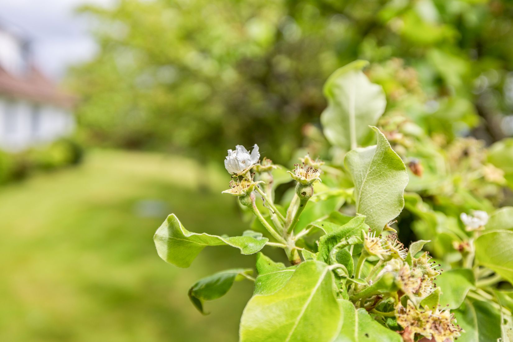 Villa, Lilla Röddevägen 119A&B, Sjöbo