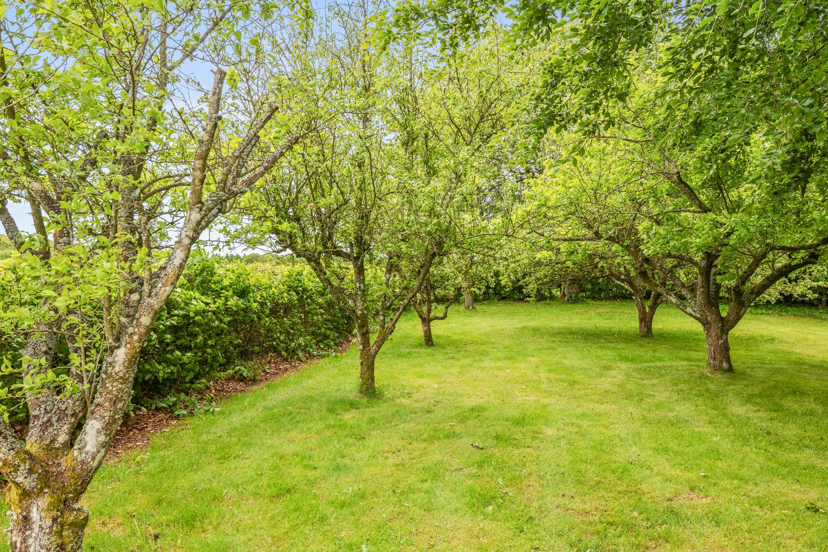 Villa, Lilla Röddevägen 119A&B, Sjöbo