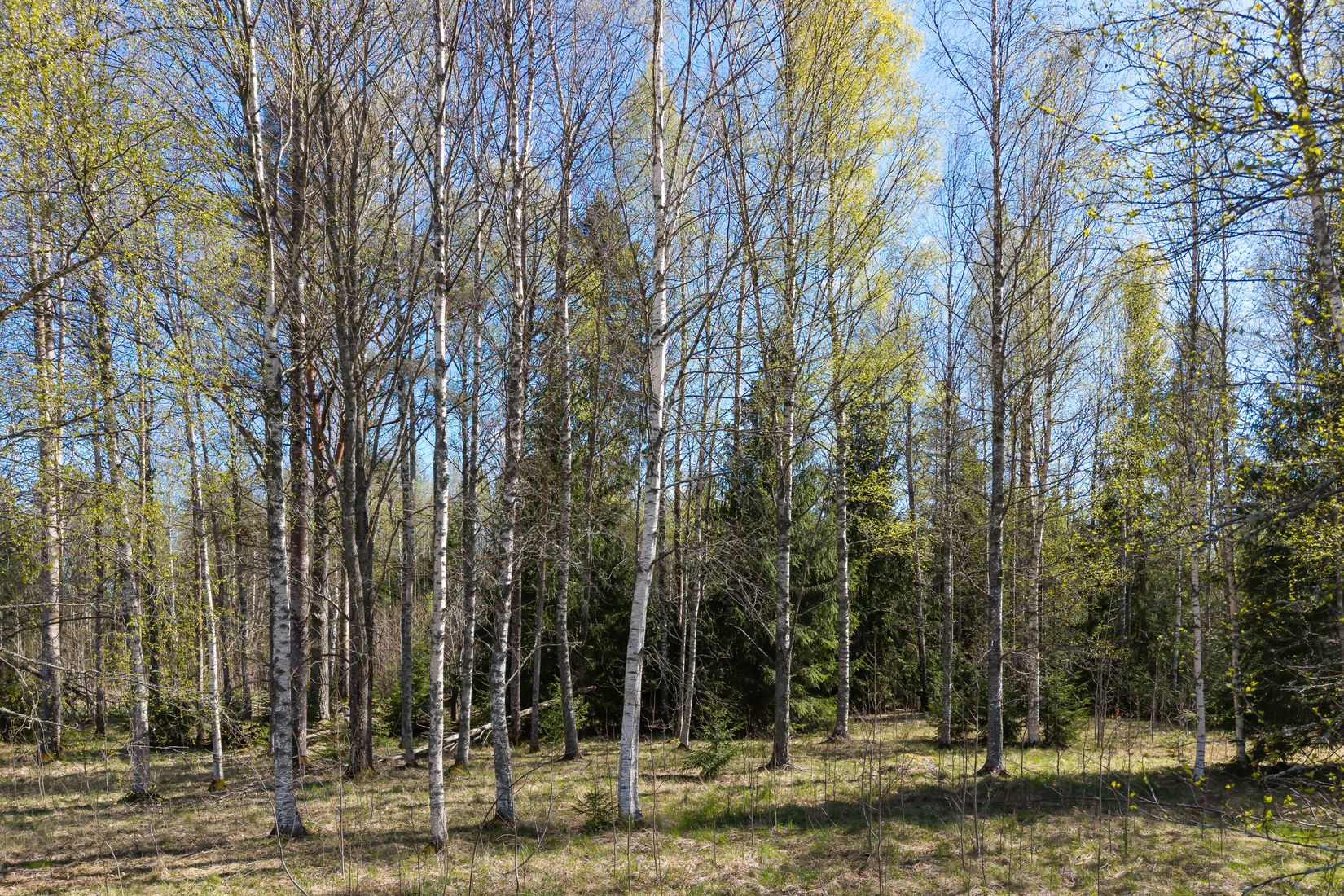 Villa, Torpa 590, Örebro