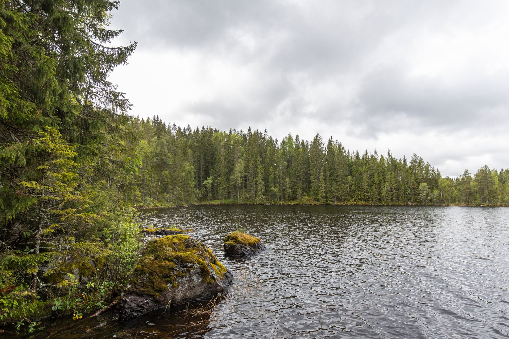Gård/Skog, Långban Björnviken, Filipstad