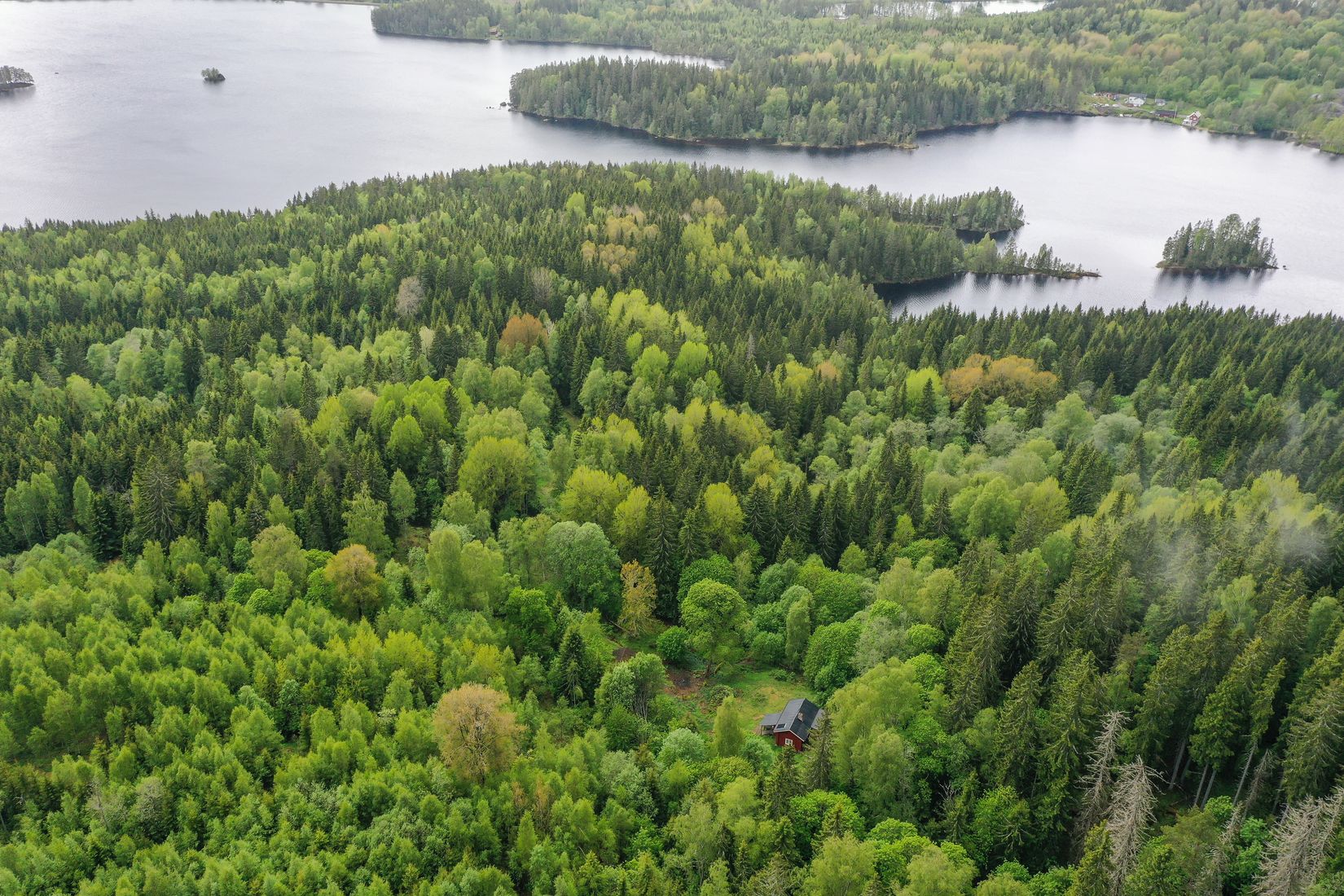 Gård/Skog, Långban Björnviken, Filipstad